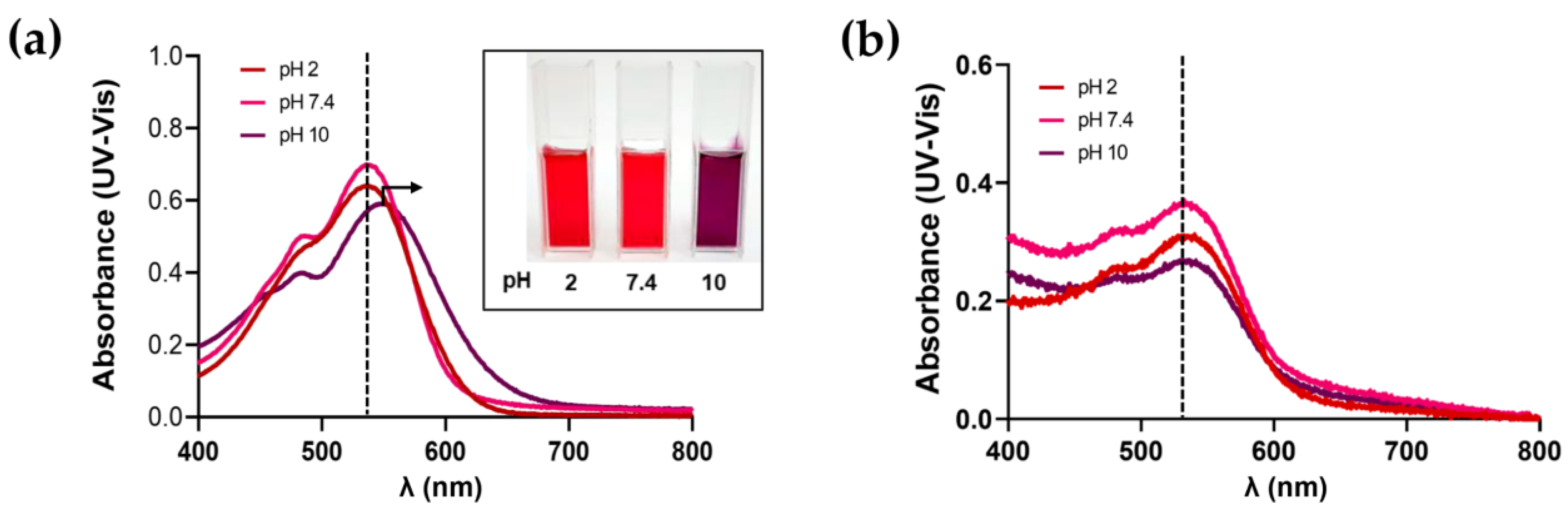Polymers 15 03875 g009