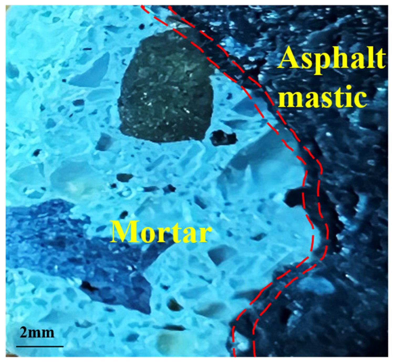 Polymers 15 03893 g007
