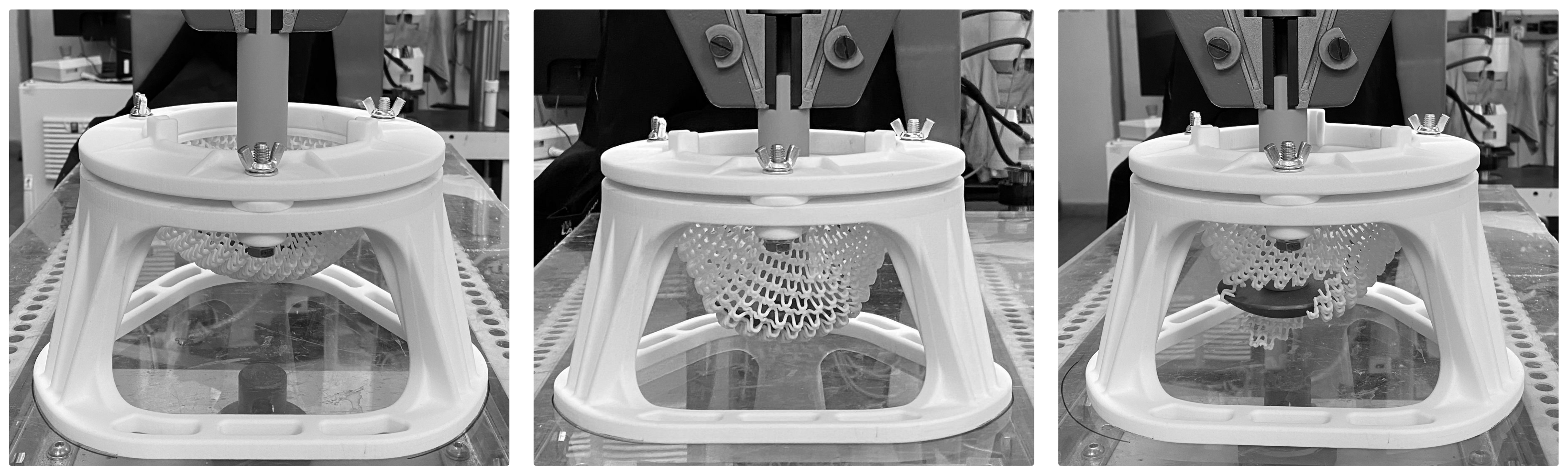 Polymers 15 03896 g005