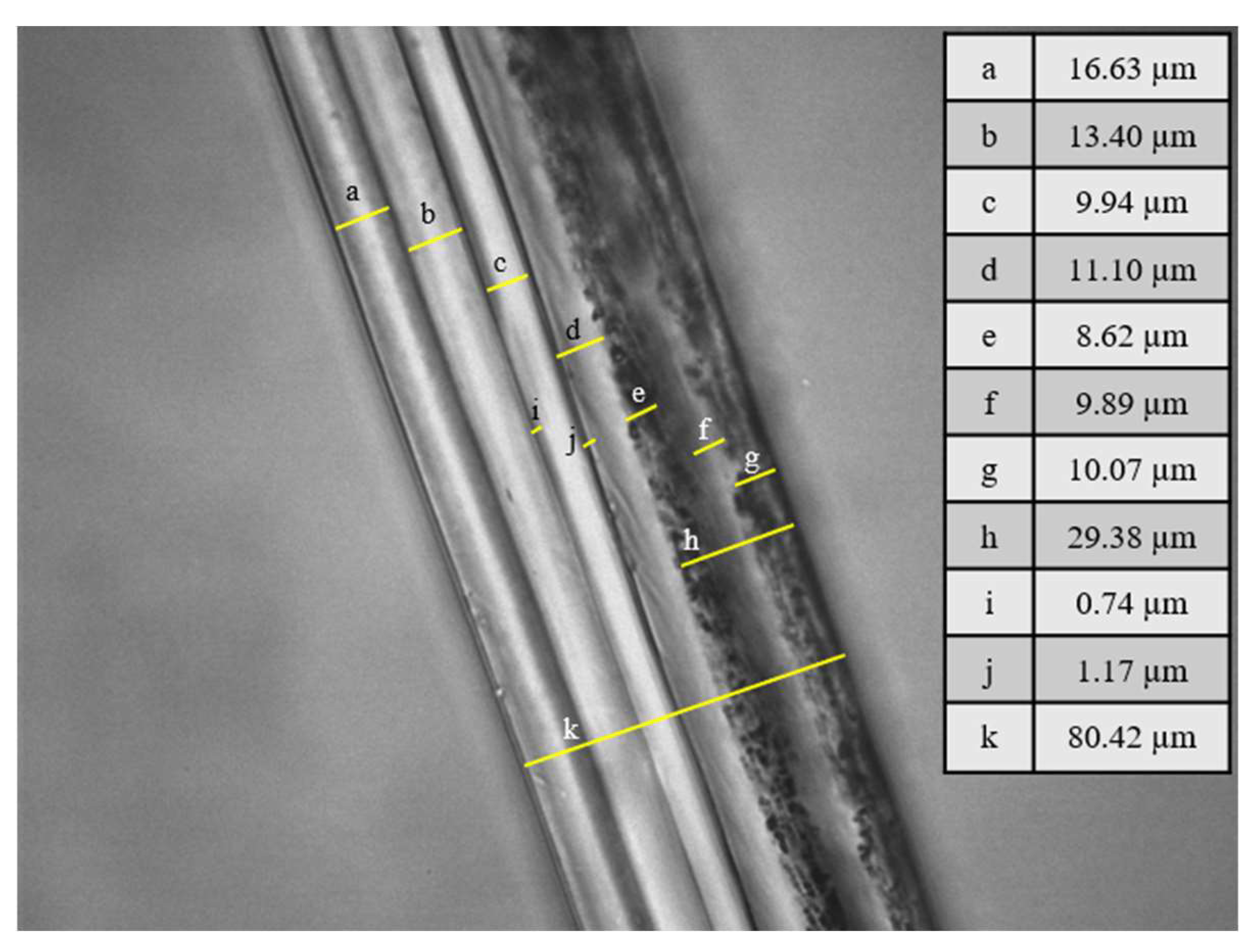 Polymers 15 03899 g007