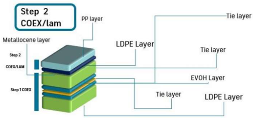 Polymers 15 03899 i002