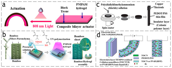 Polymers 15 03905 g003