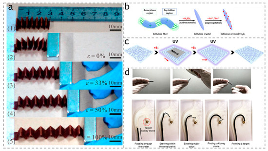 Polymers 15 03905 g011