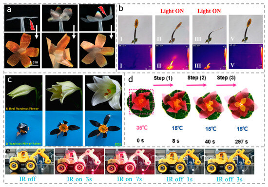 Polymers 15 03905 g015