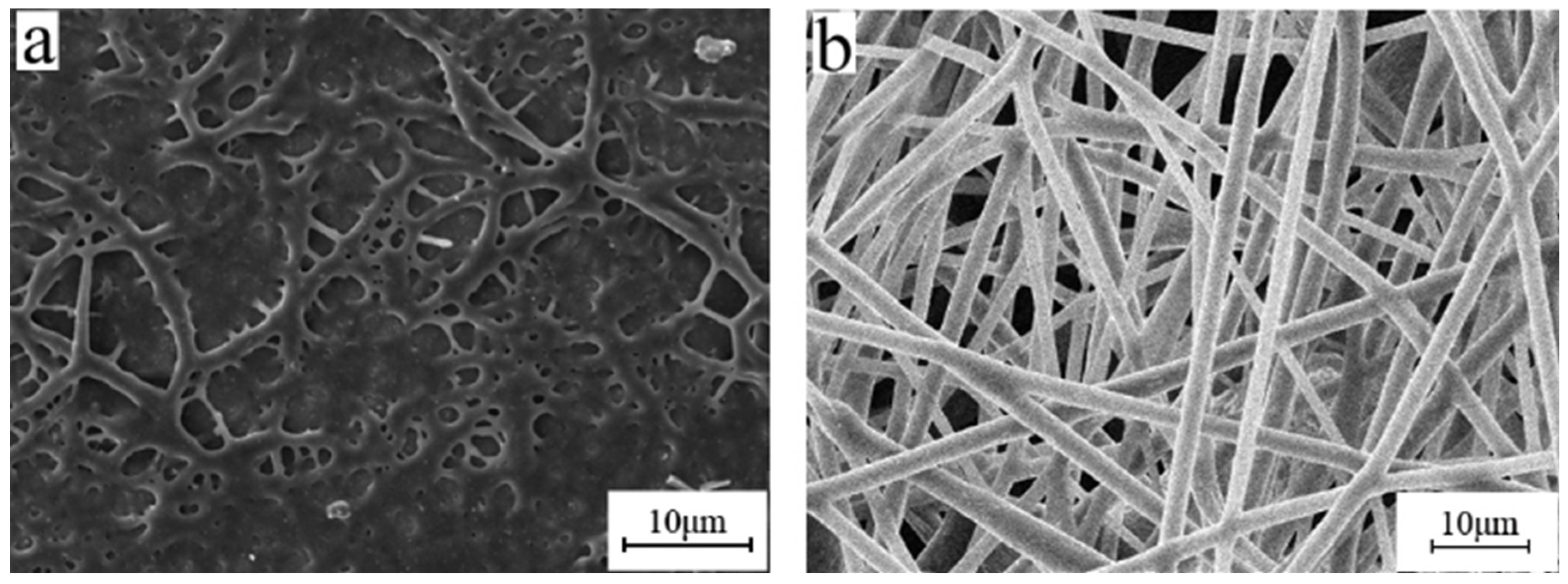 Polymers 15 03909 g004