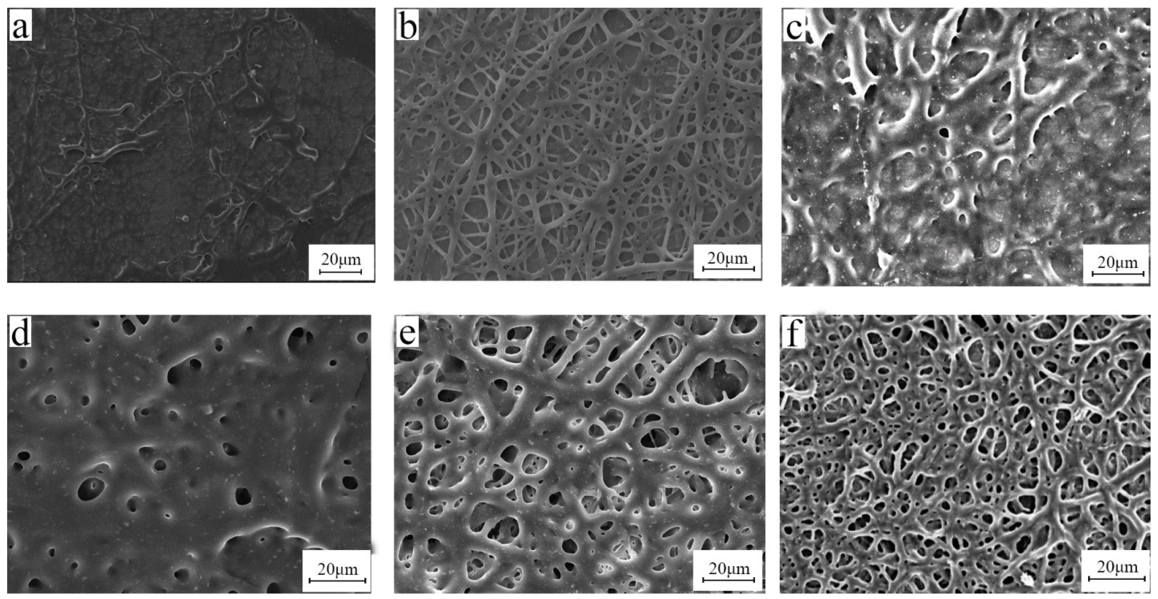 Polymers 15 03909 g008