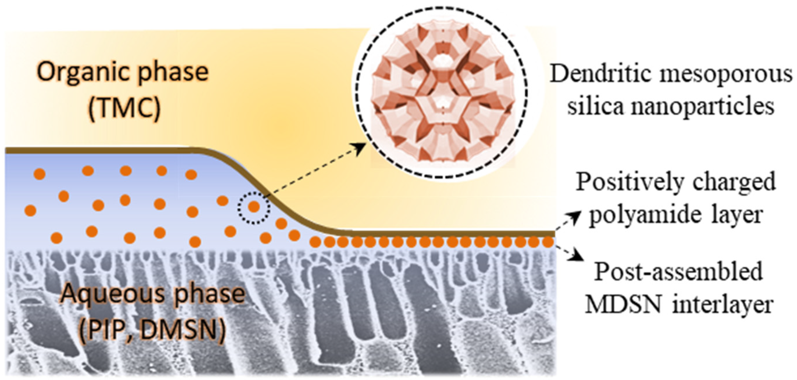 Polymers 15 03912 g001