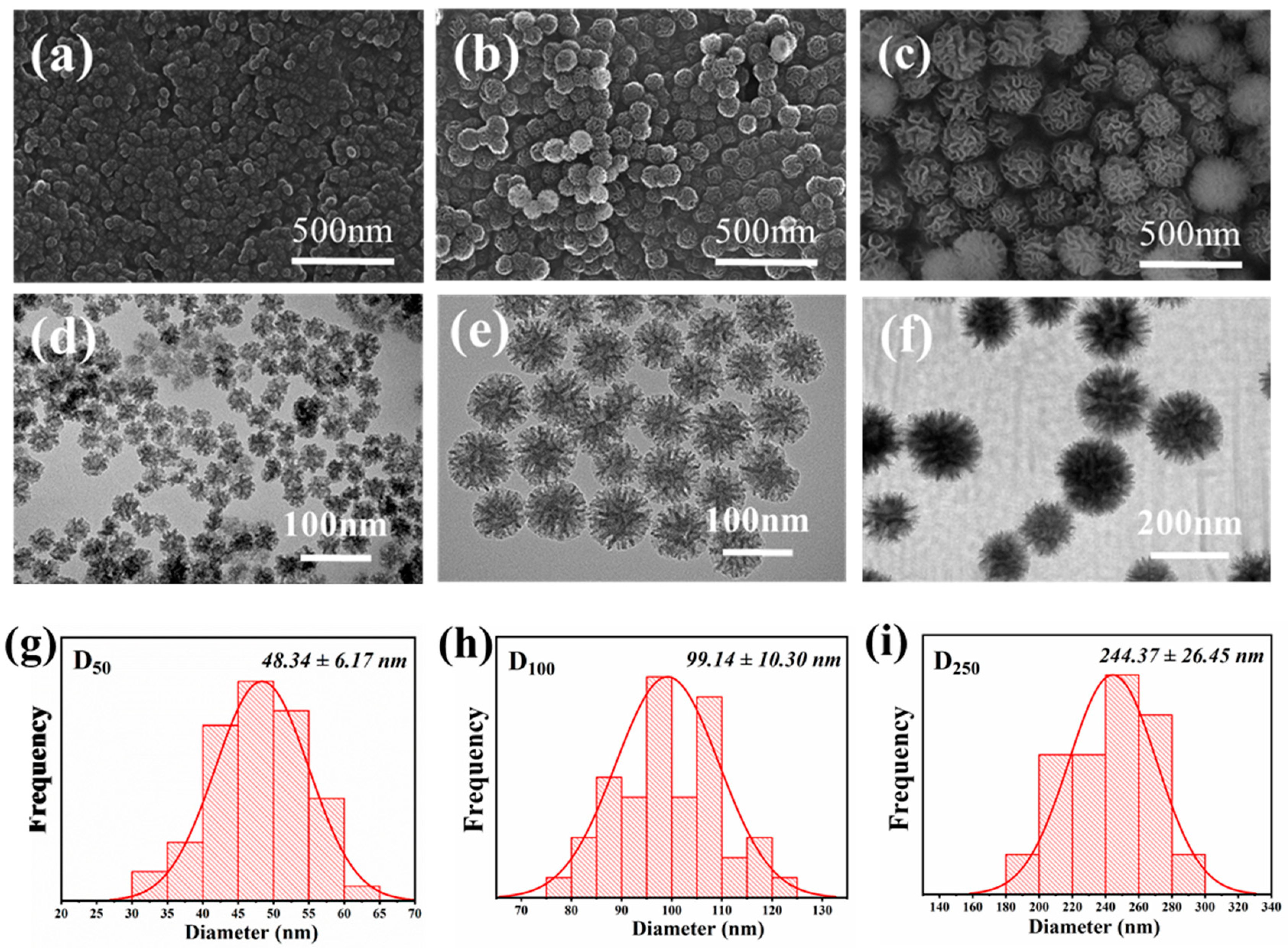 Polymers 15 03912 g003