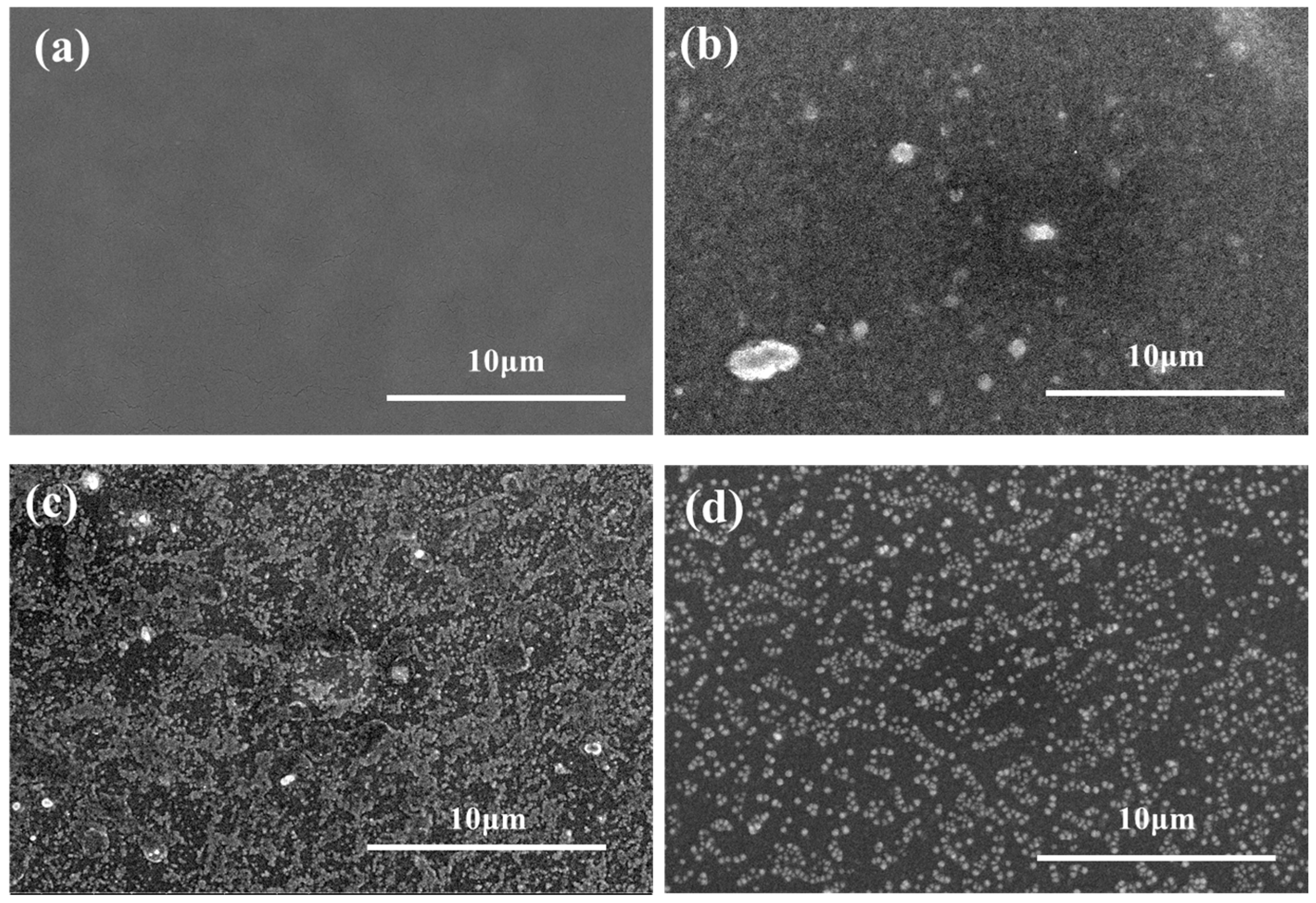 Polymers 15 03912 g006