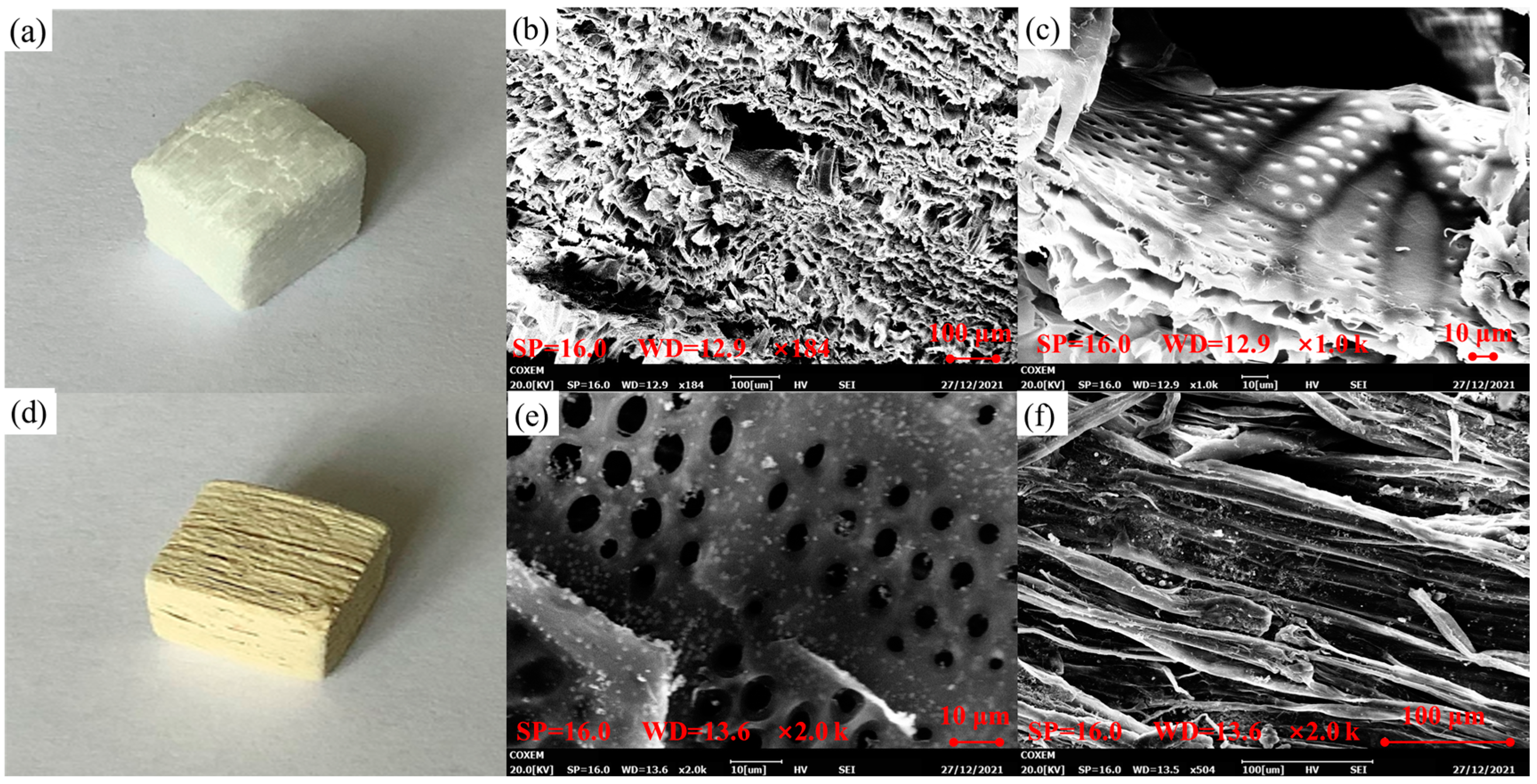 Polymers 15 03929 g002