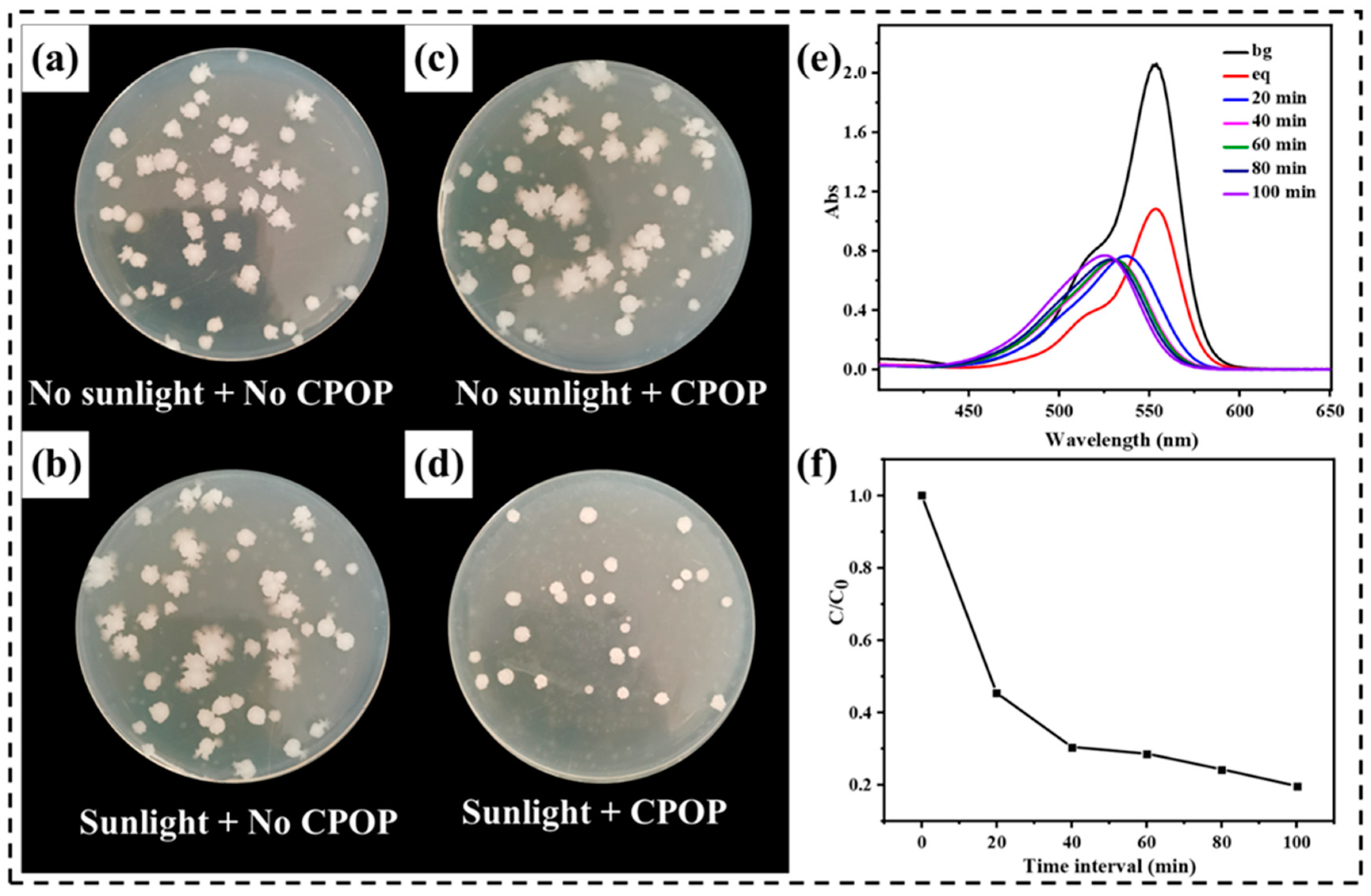 Polymers 15 03929 g006