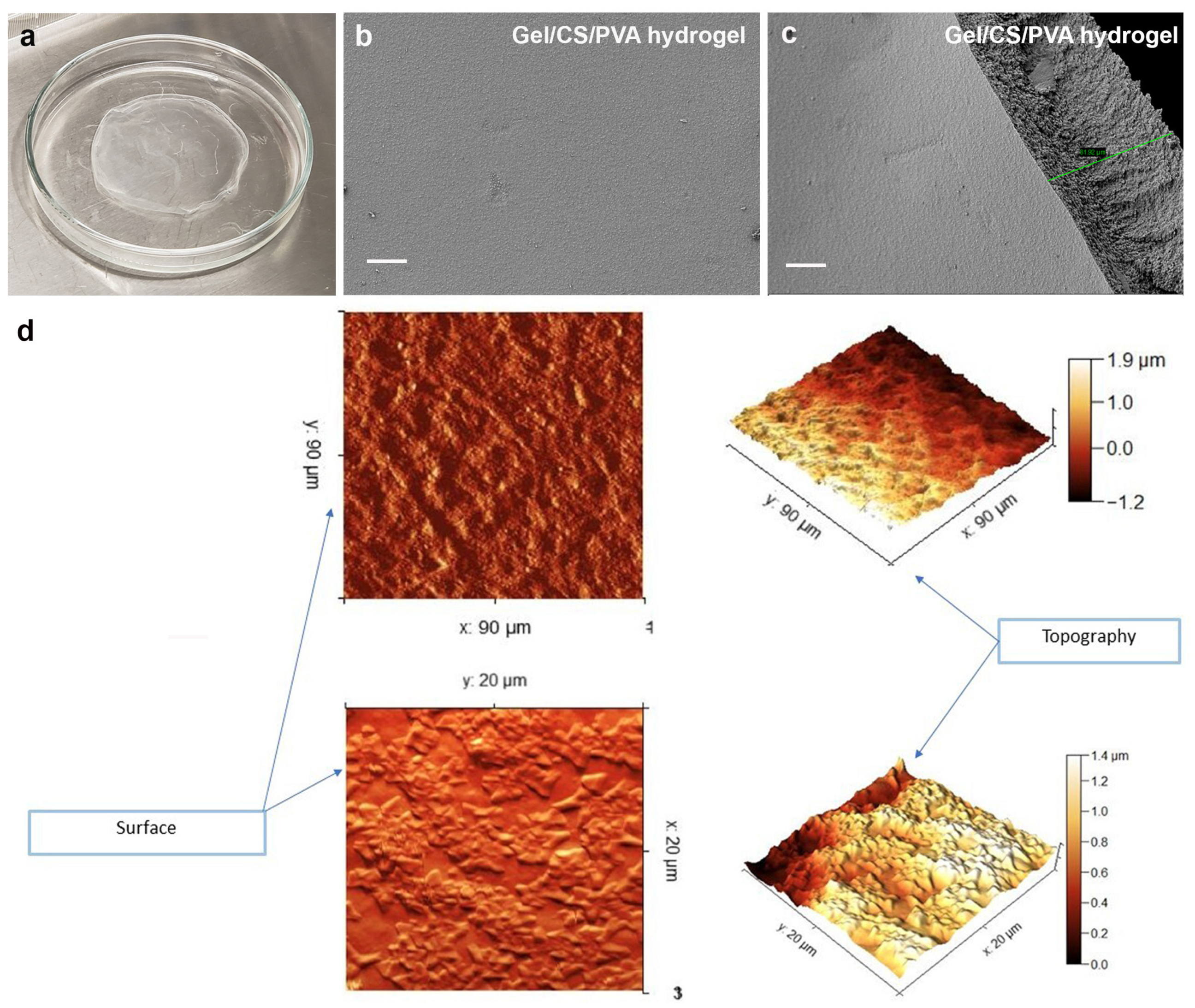 Polymers 15 03938 g001