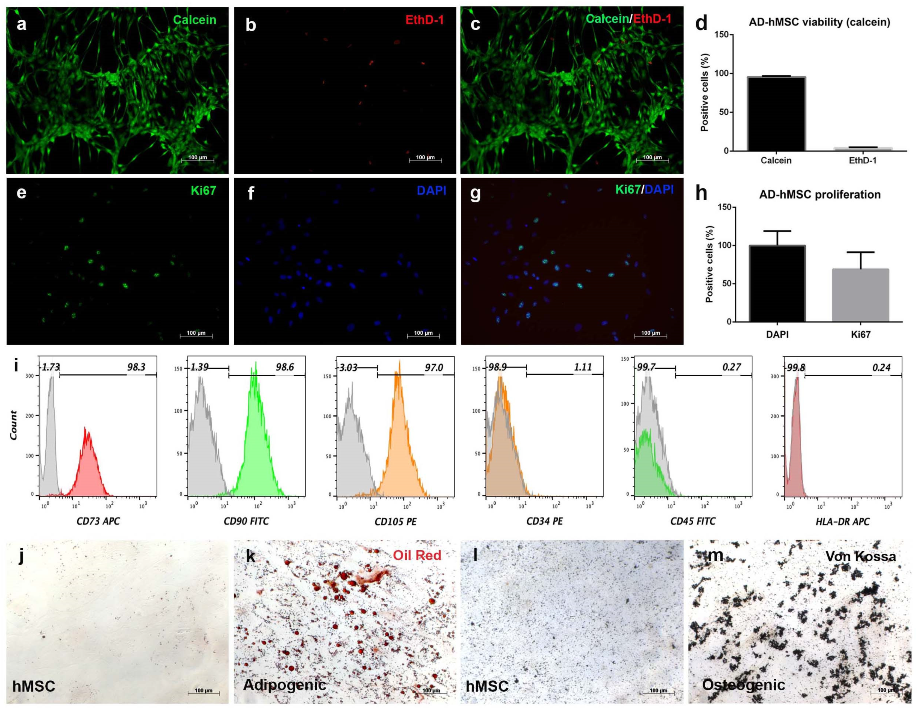 Polymers 15 03938 g002