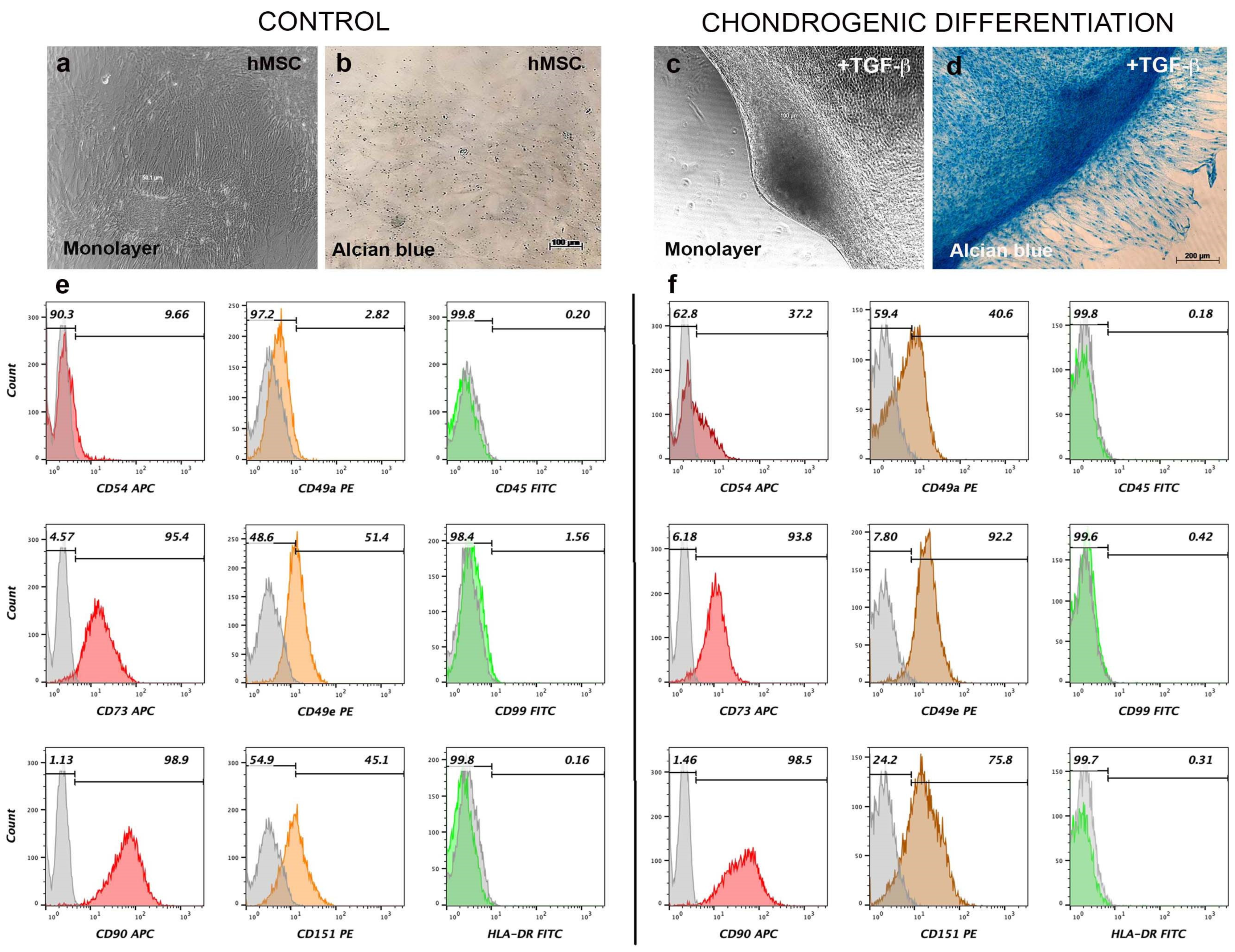 Polymers 15 03938 g003