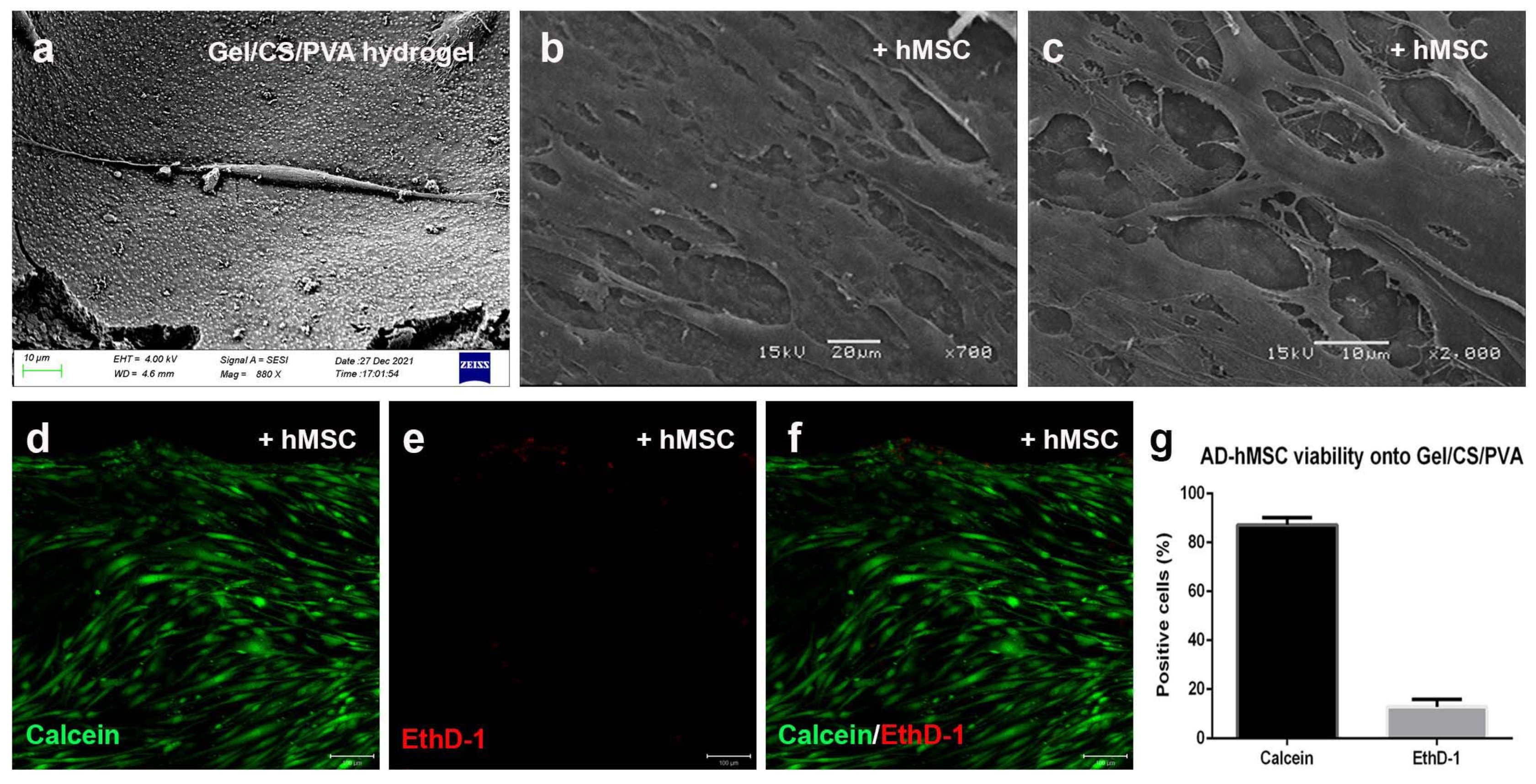 Polymers 15 03938 g004