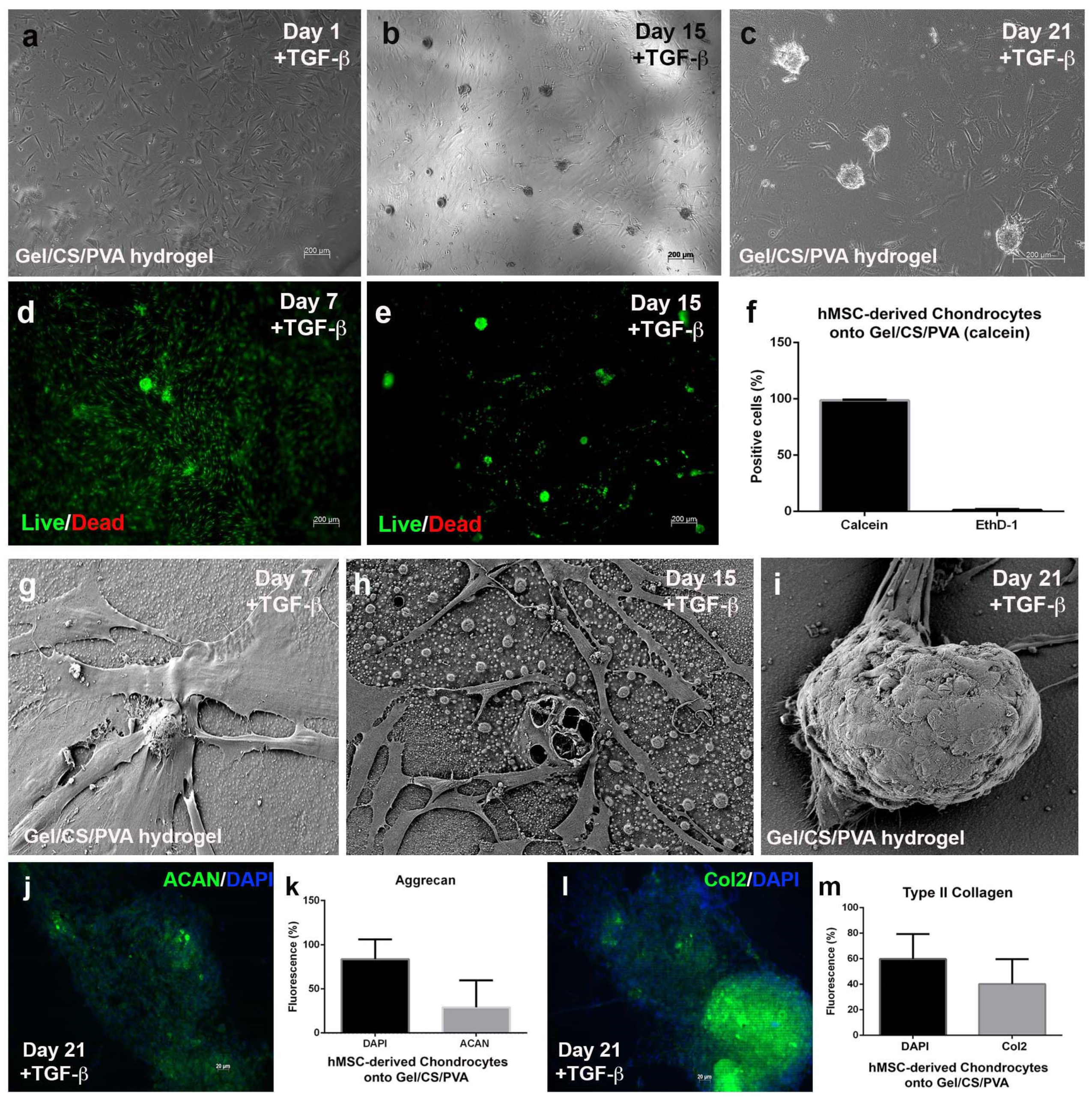 Polymers 15 03938 g005