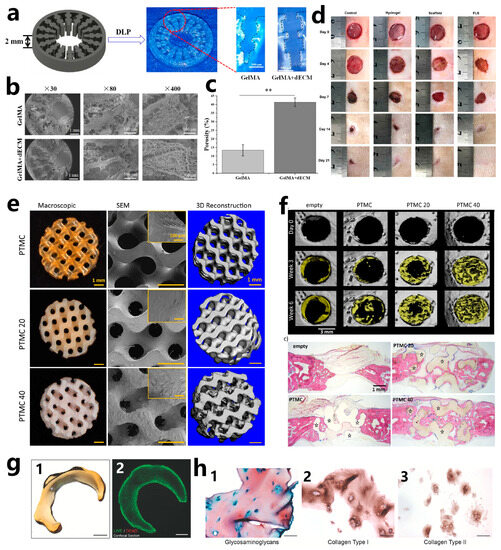 Polymers 15 03940 g009