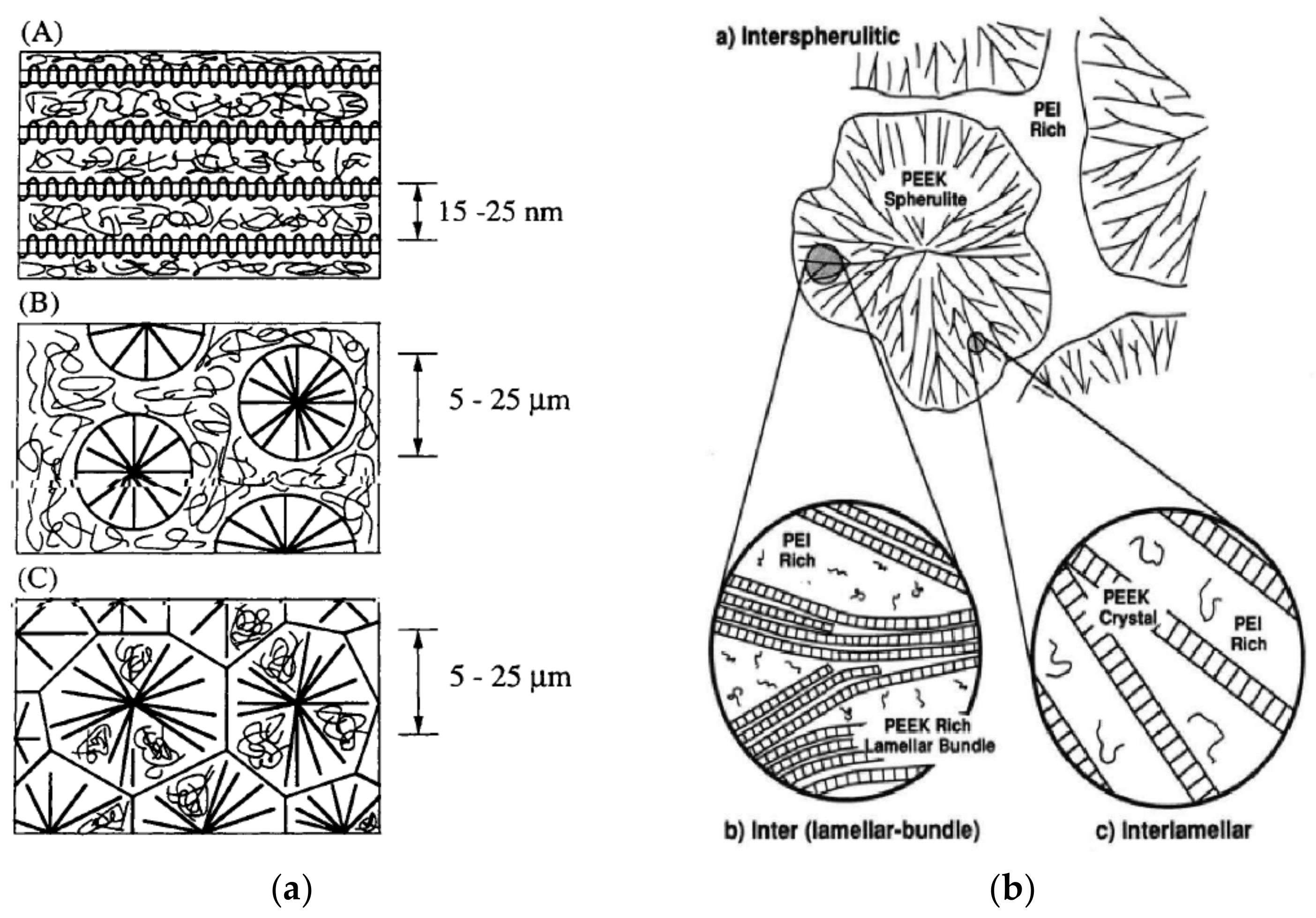 Polymers 15 03943 g014