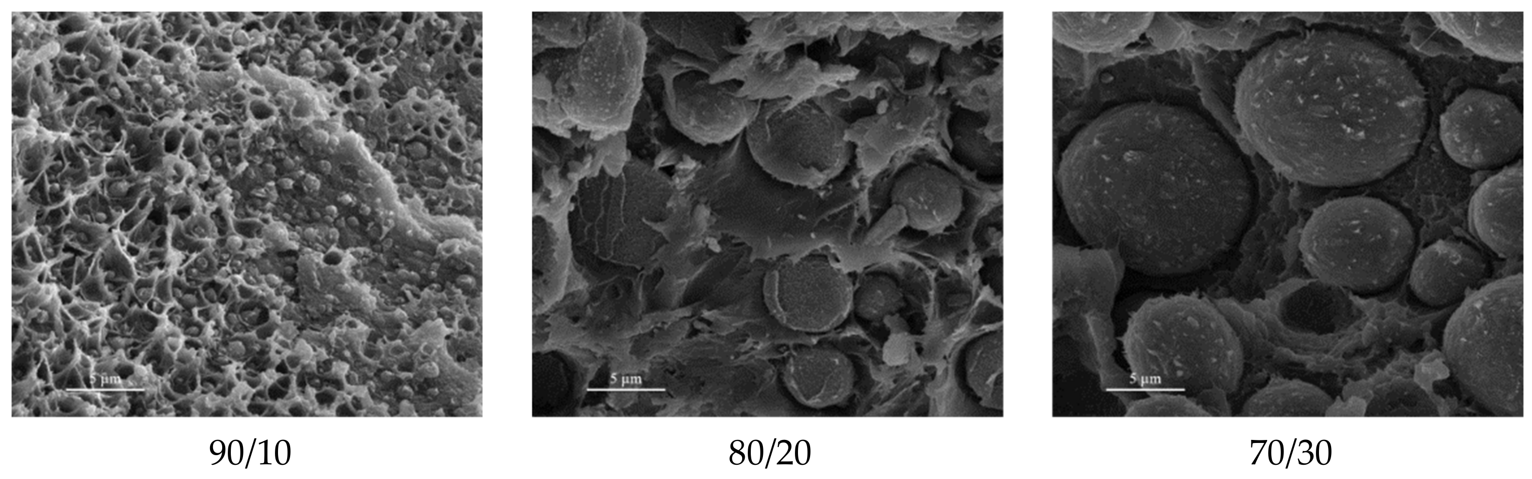 Polymers 15 03943 g019