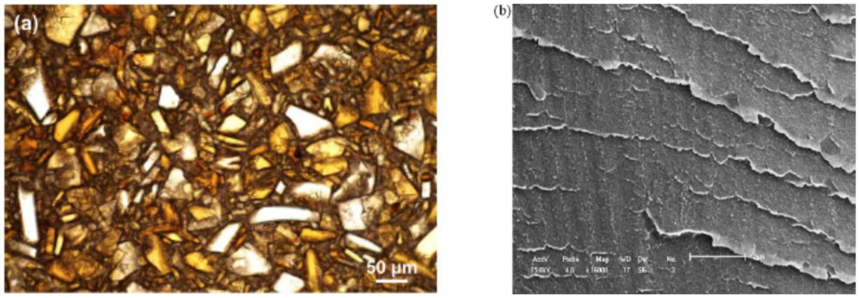 Polymers 15 03943 g020