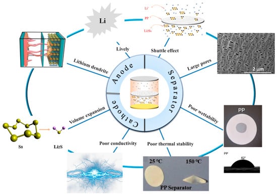 Polymers 15 03955 g004
