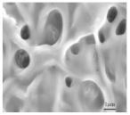 Polymers 15 03955 i001