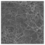 Polymers 15 03955 i009