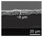 Polymers 15 03955 i017