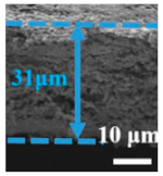 Polymers 15 03955 i021