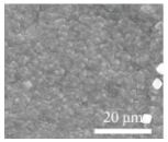 Polymers 15 03955 i024
