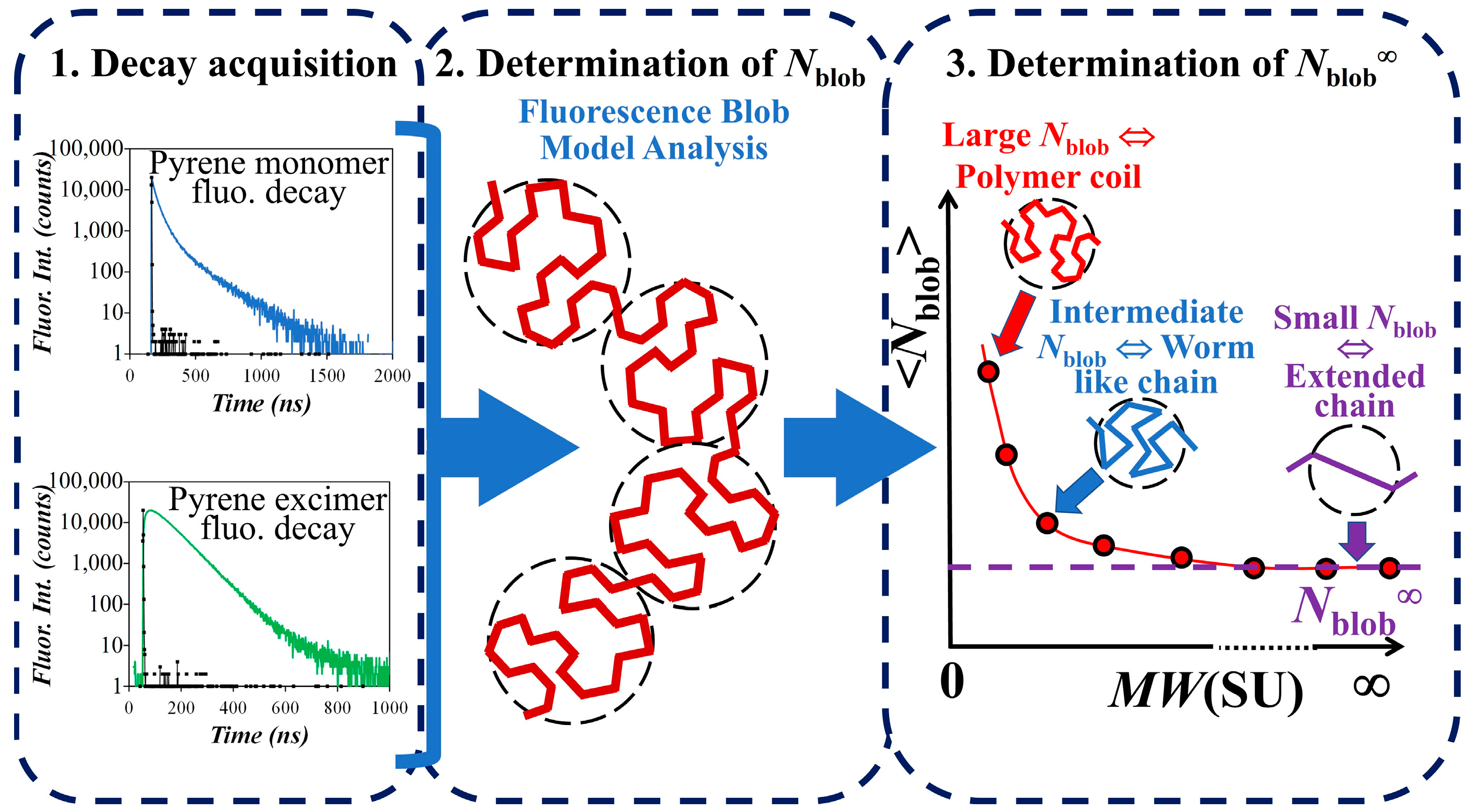 Polymers 15 03958 g001