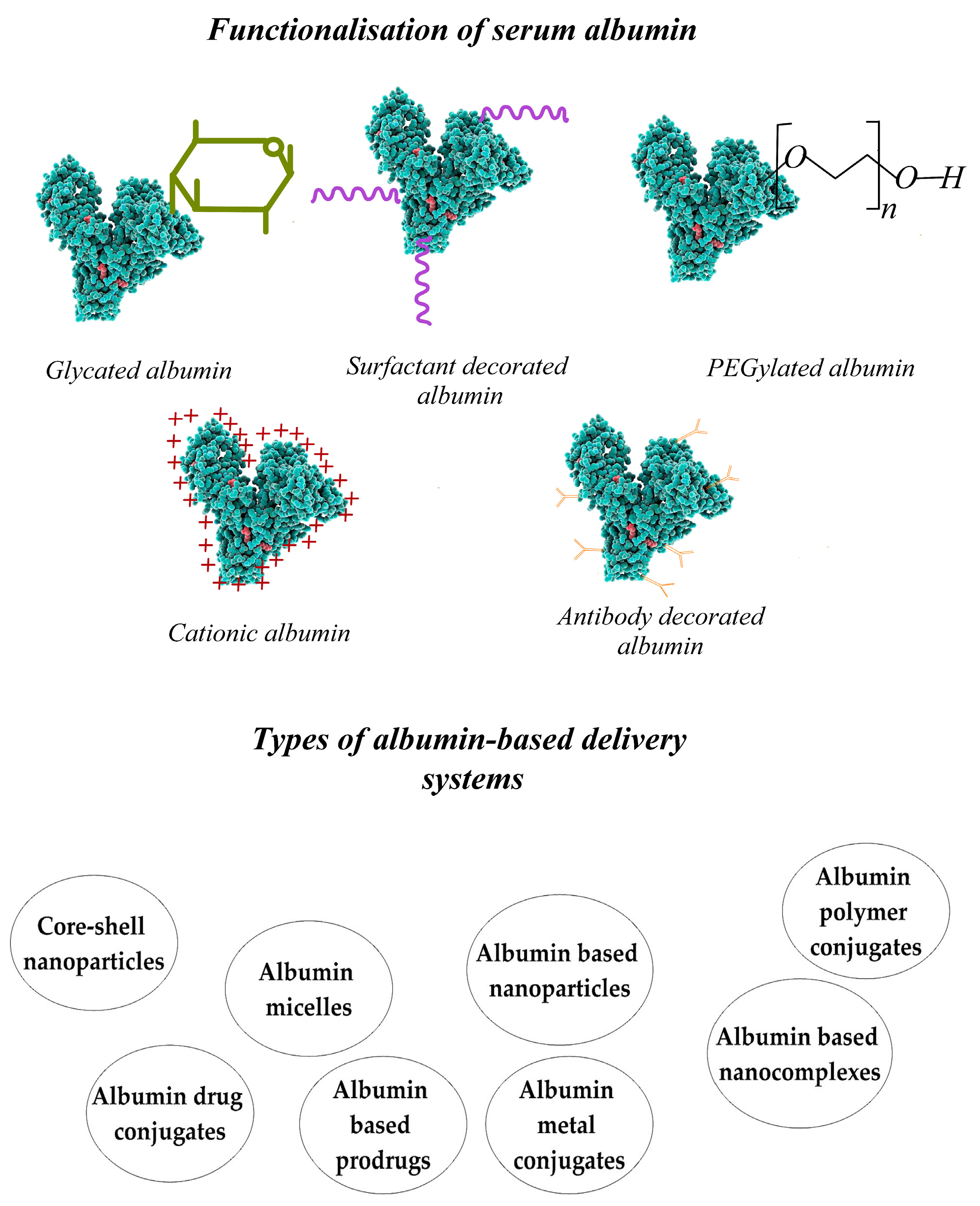 Polymers 15 03969 g005