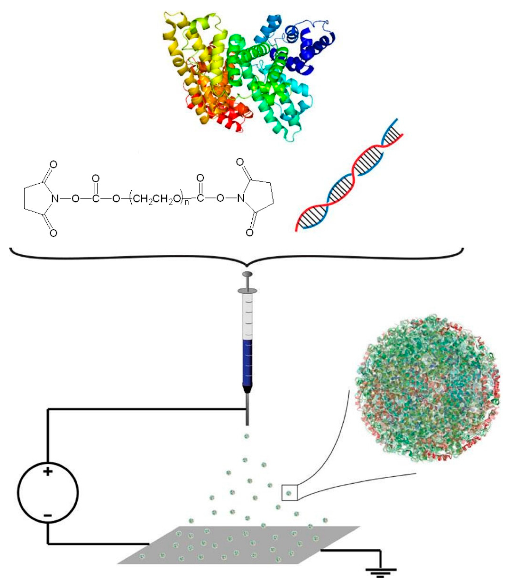 Polymers 15 03969 g006