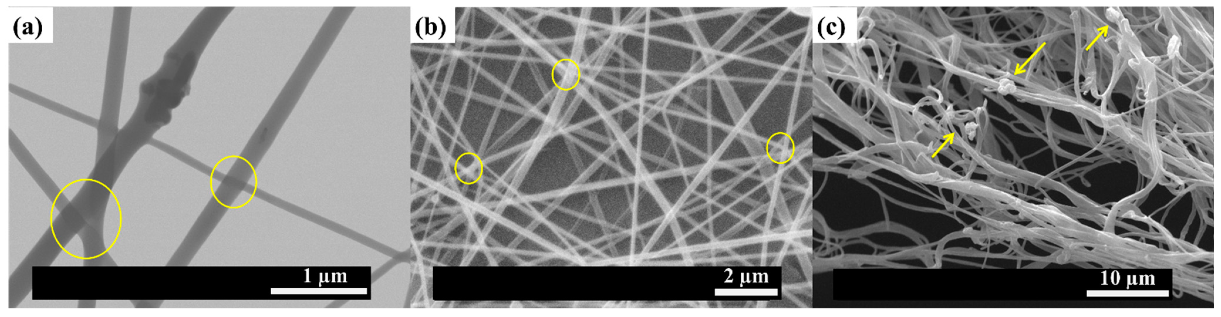 Polymers 15 03973 g006
