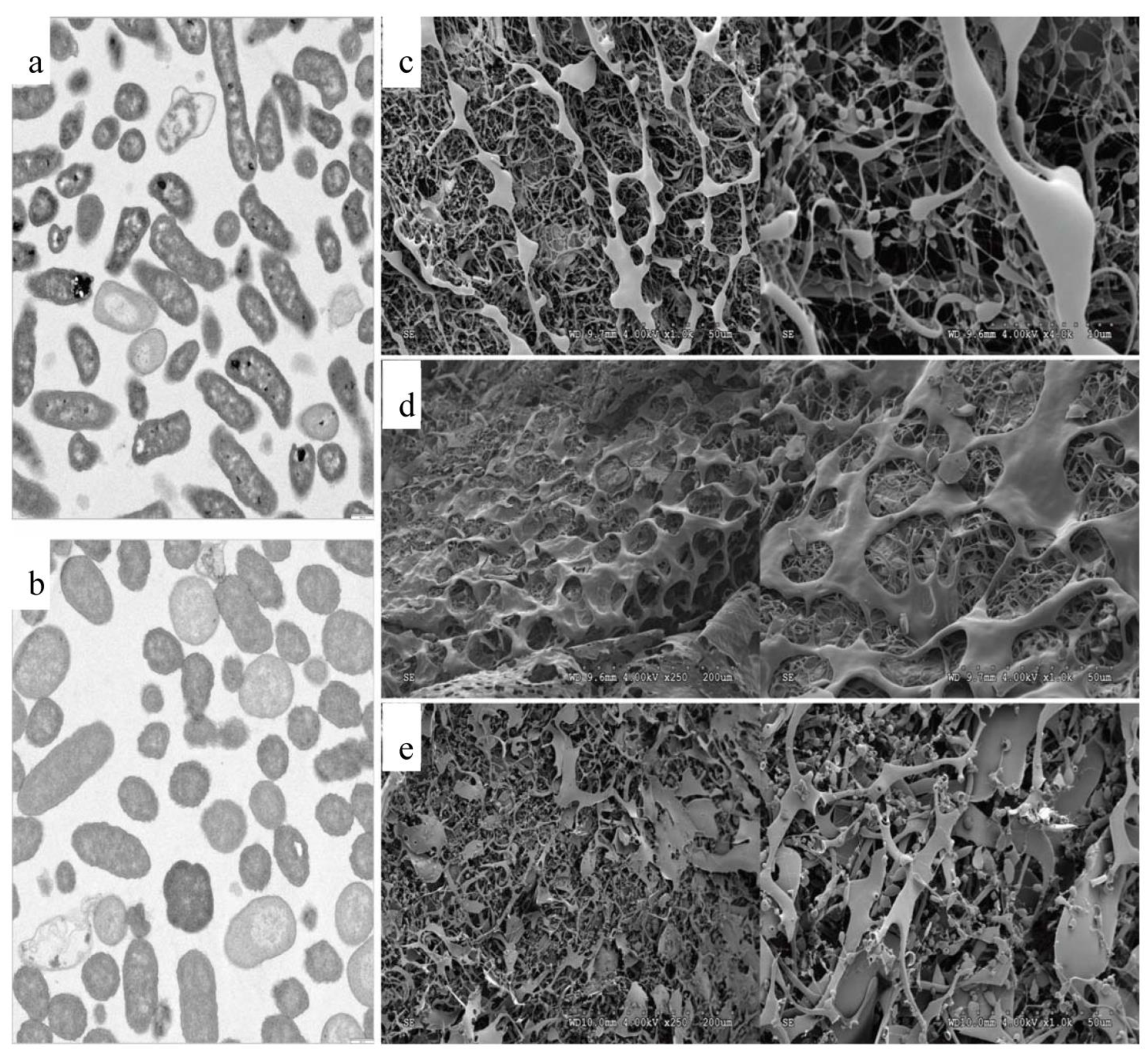 Polymers 15 03974 g002
