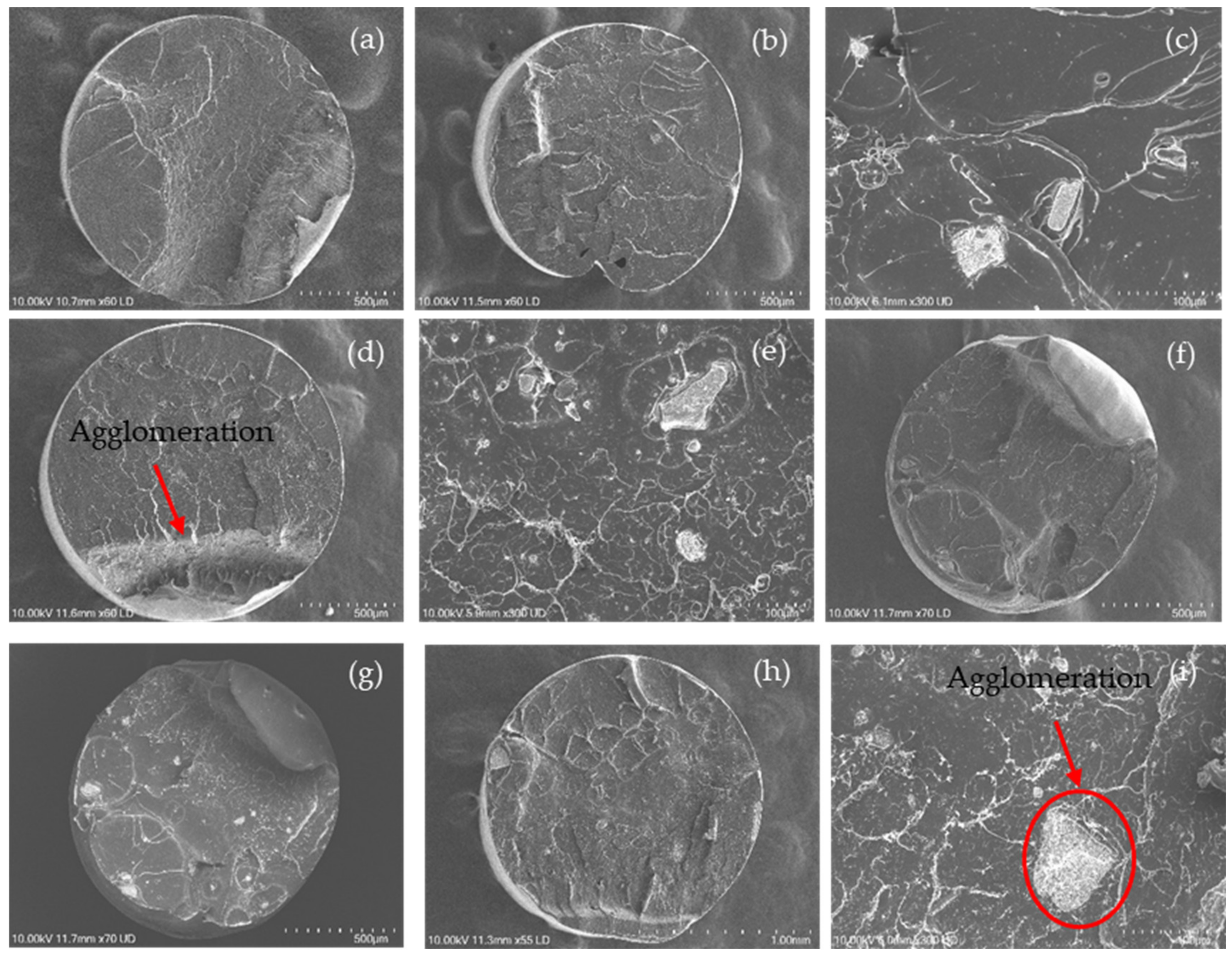 Polymers 15 03980 g007