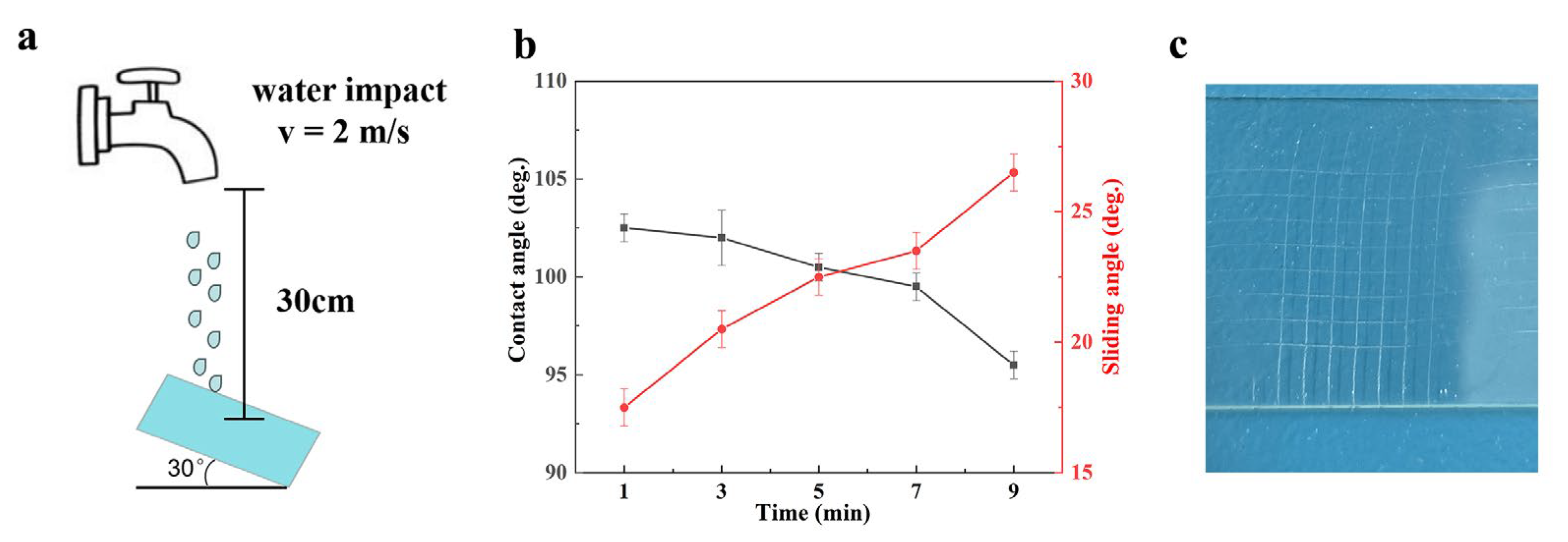 Polymers 15 03983 g005