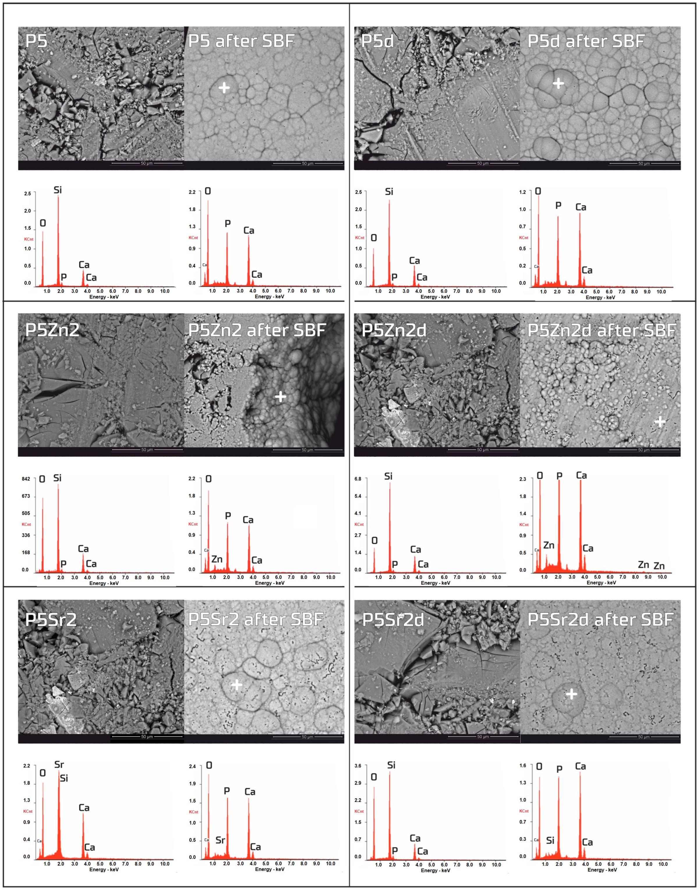 Polymers 15 03994 g005