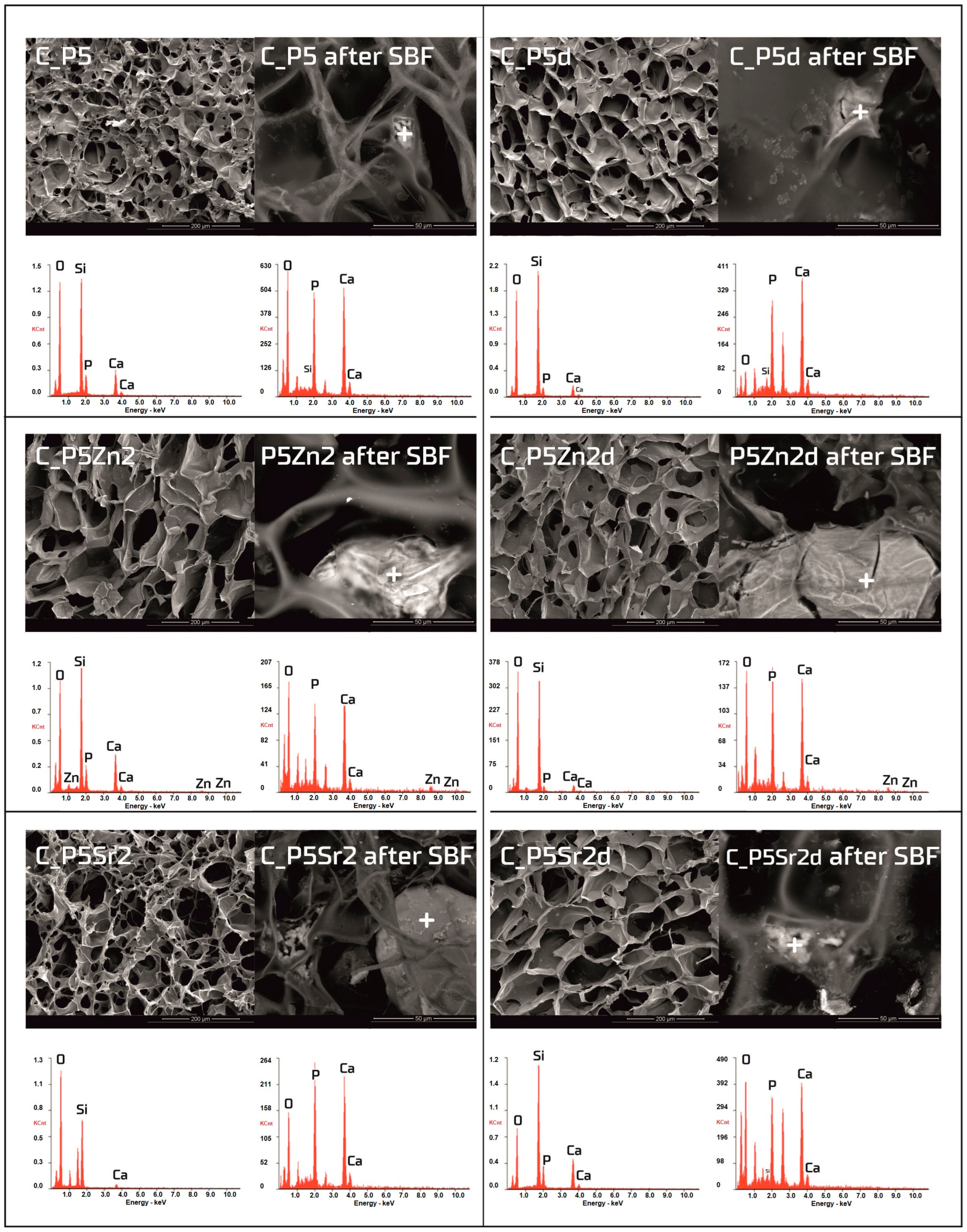 Polymers 15 03994 g006