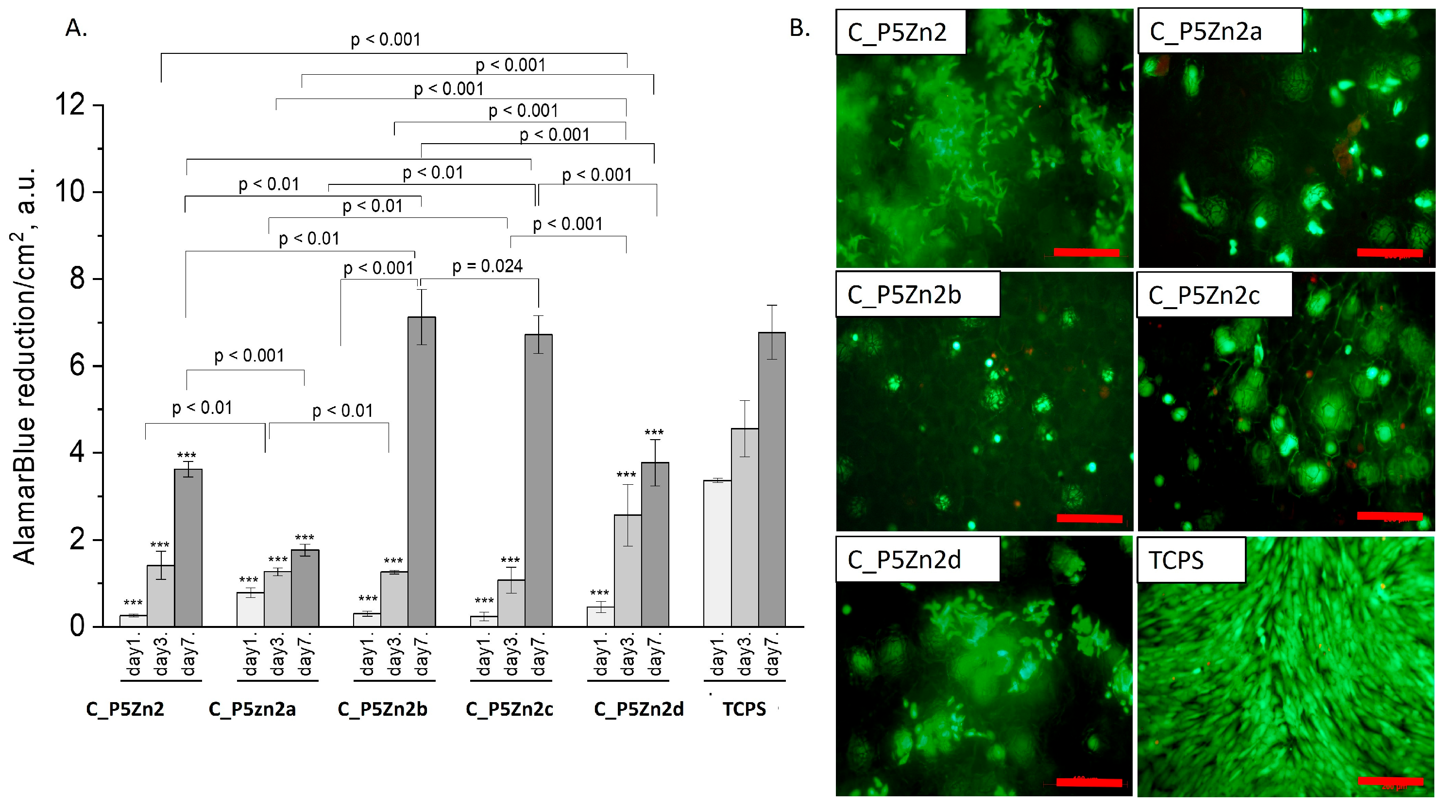 Polymers 15 03994 g008
