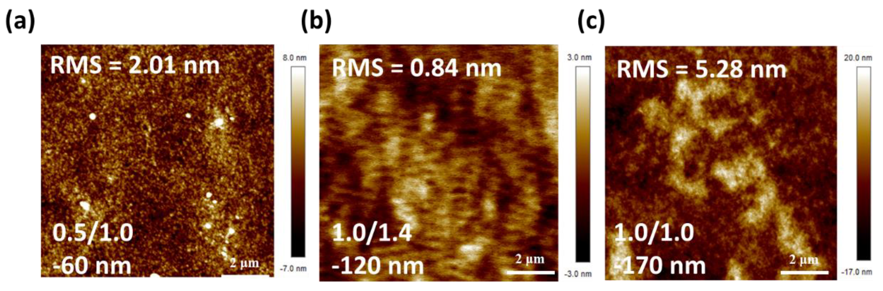 Polymers 15 04005 g006