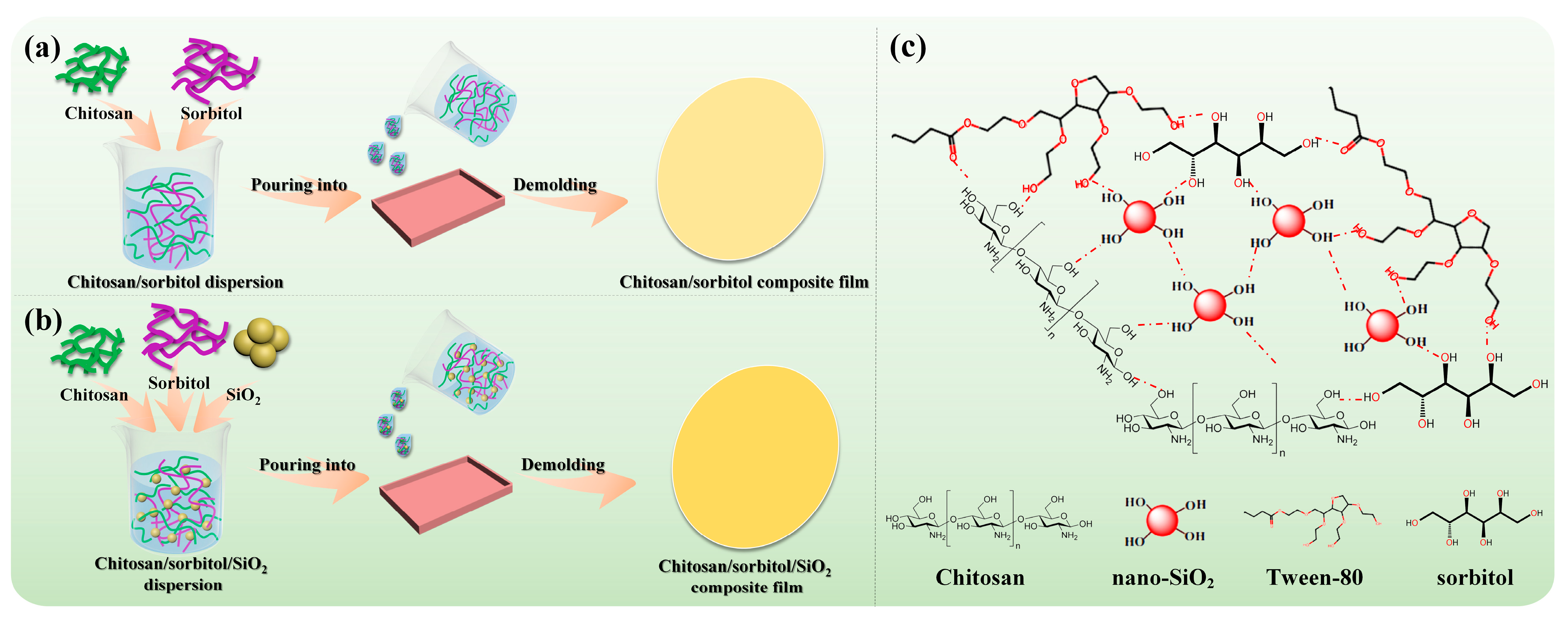 Polymers 15 04015 g001