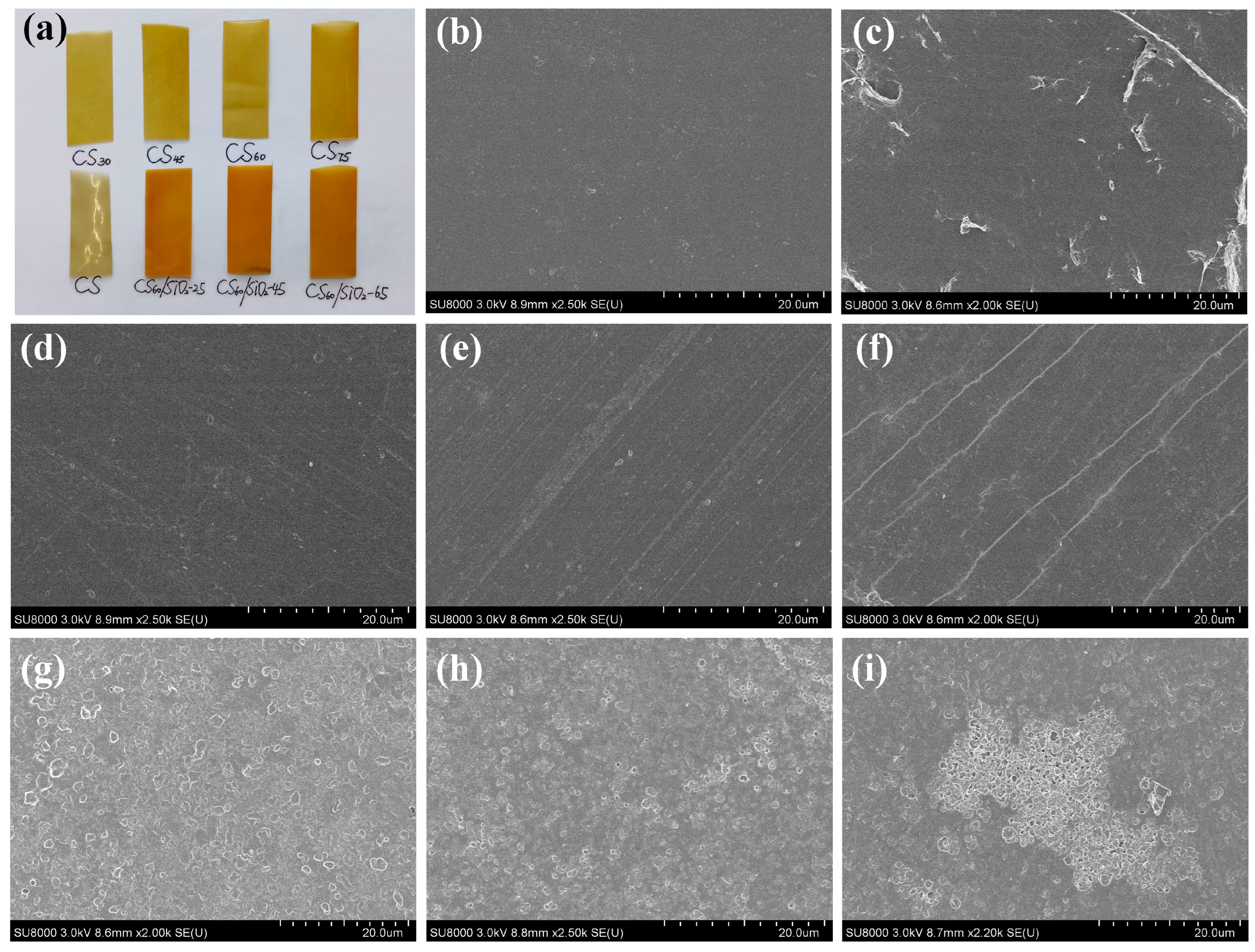 Polymers 15 04015 g003