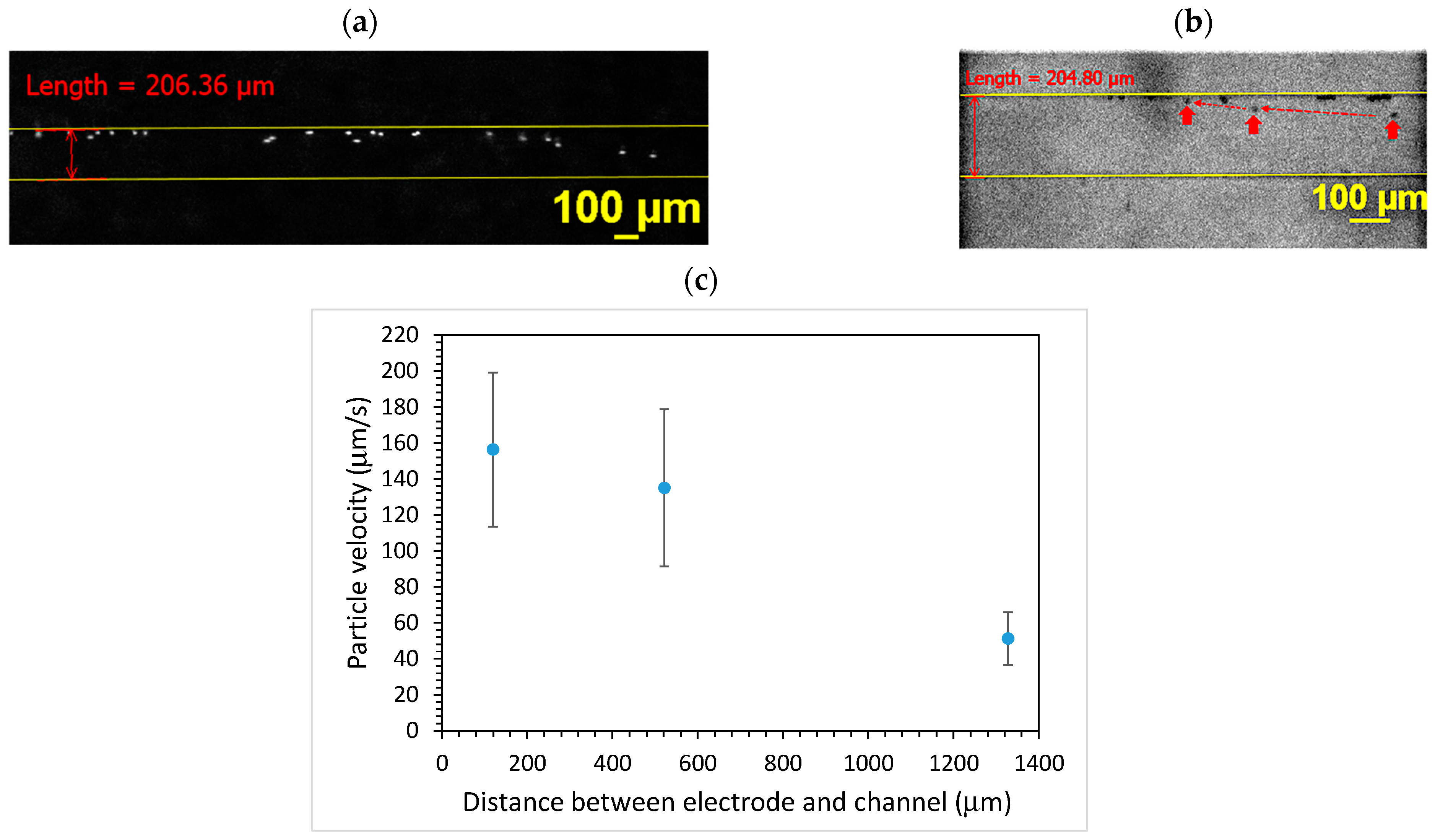Polymers 15 04033 g003