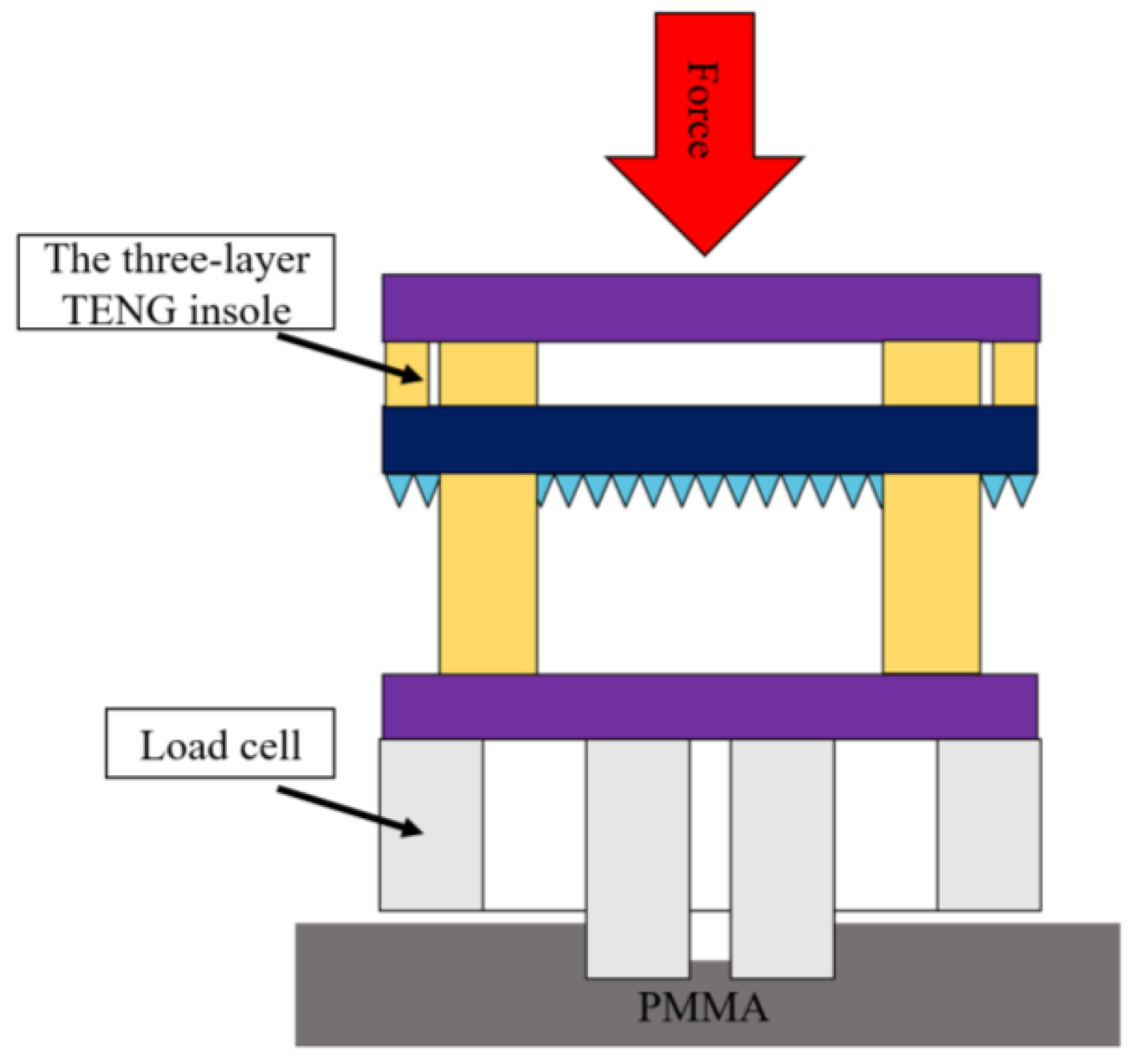 Polymers 15 04035 g004