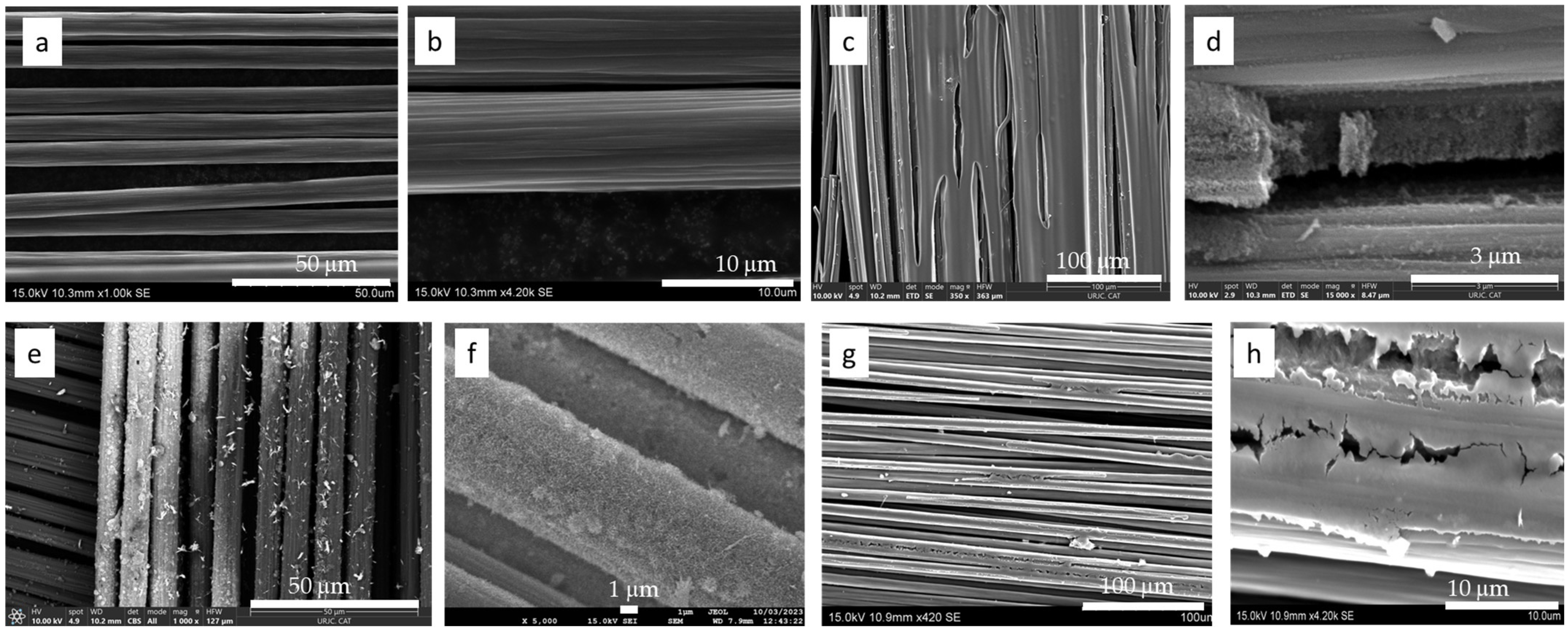 Polymers 15 04036 g001