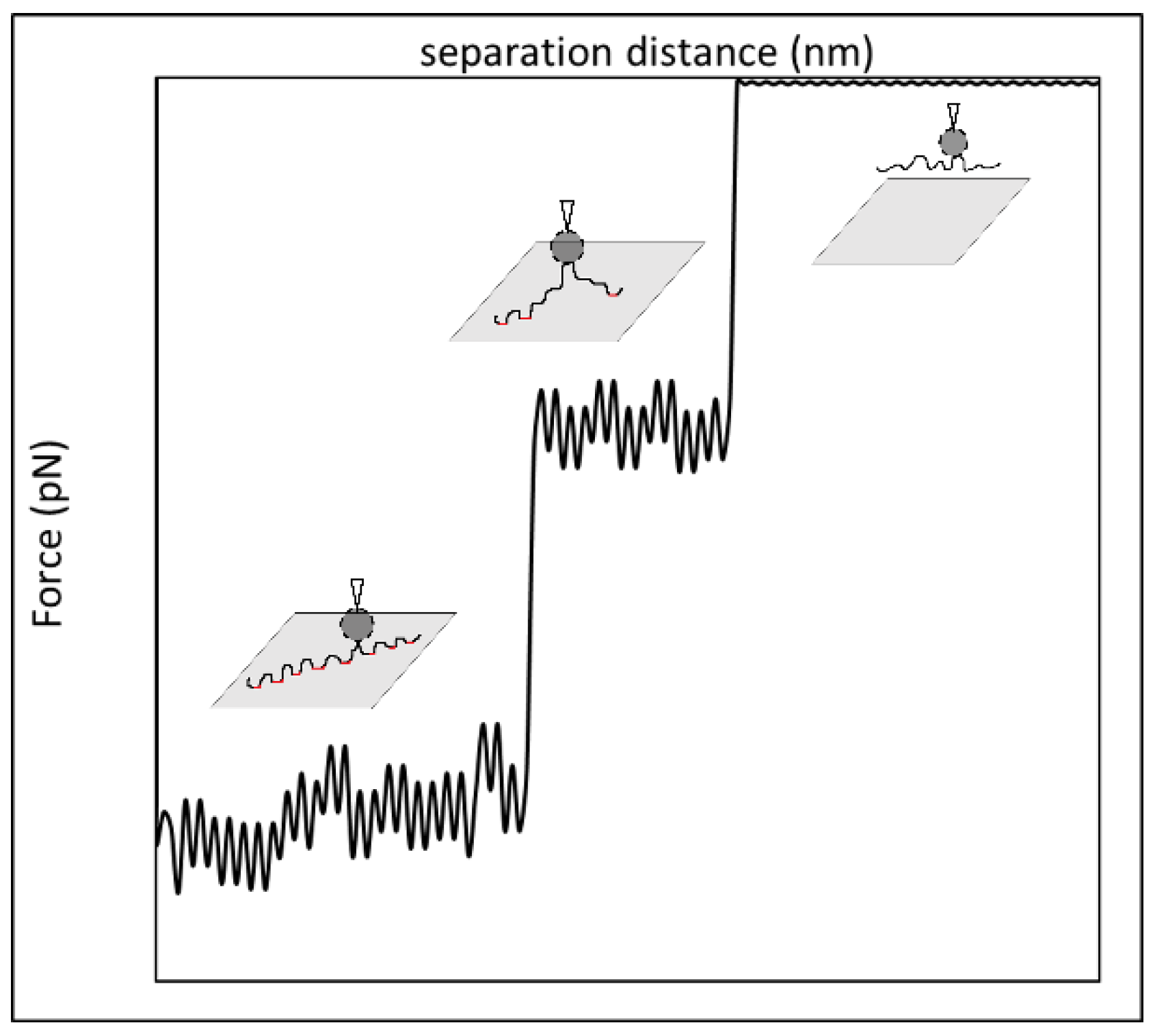 Polymers 15 04037 g010