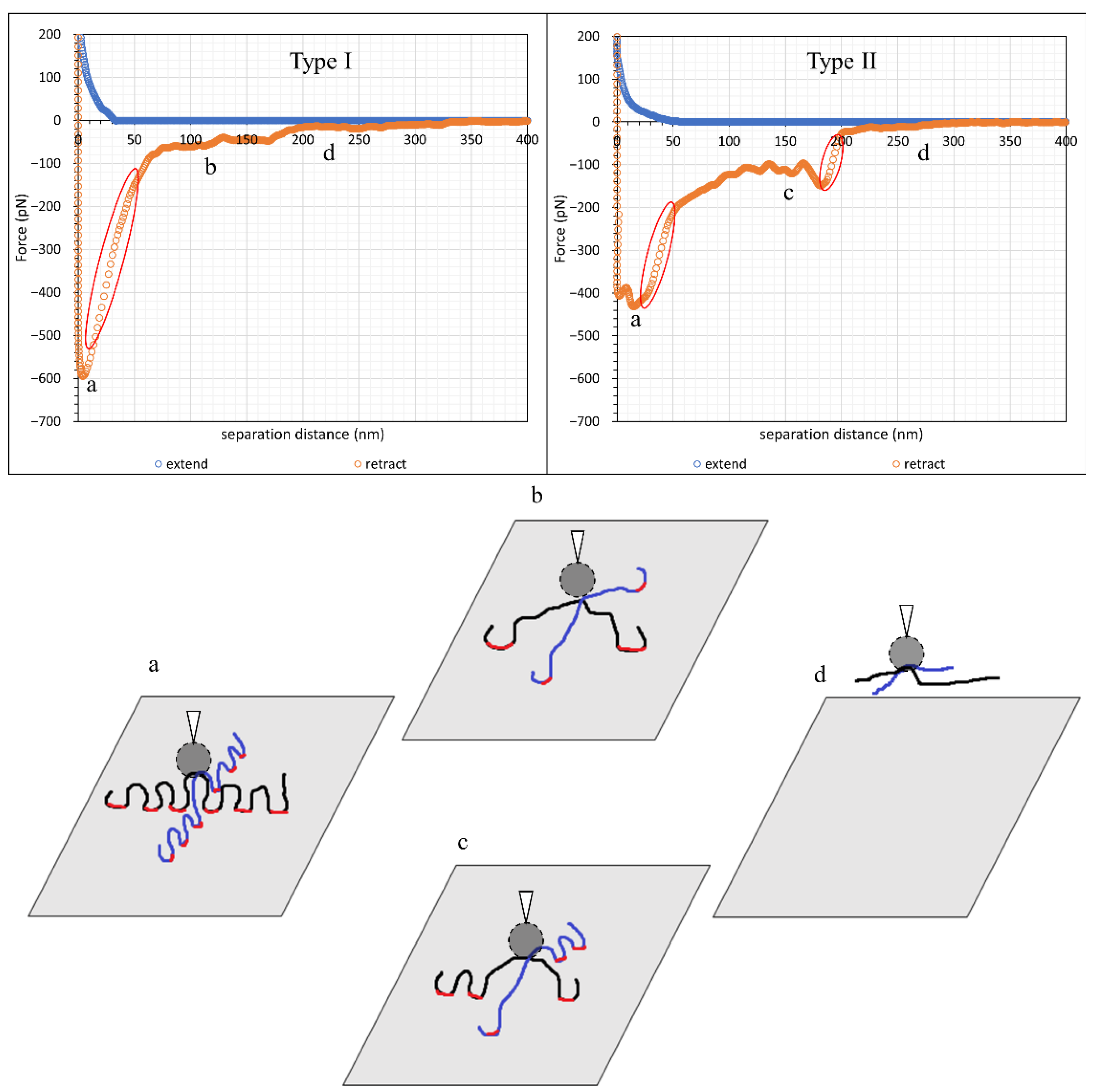 Polymers 15 04037 g011