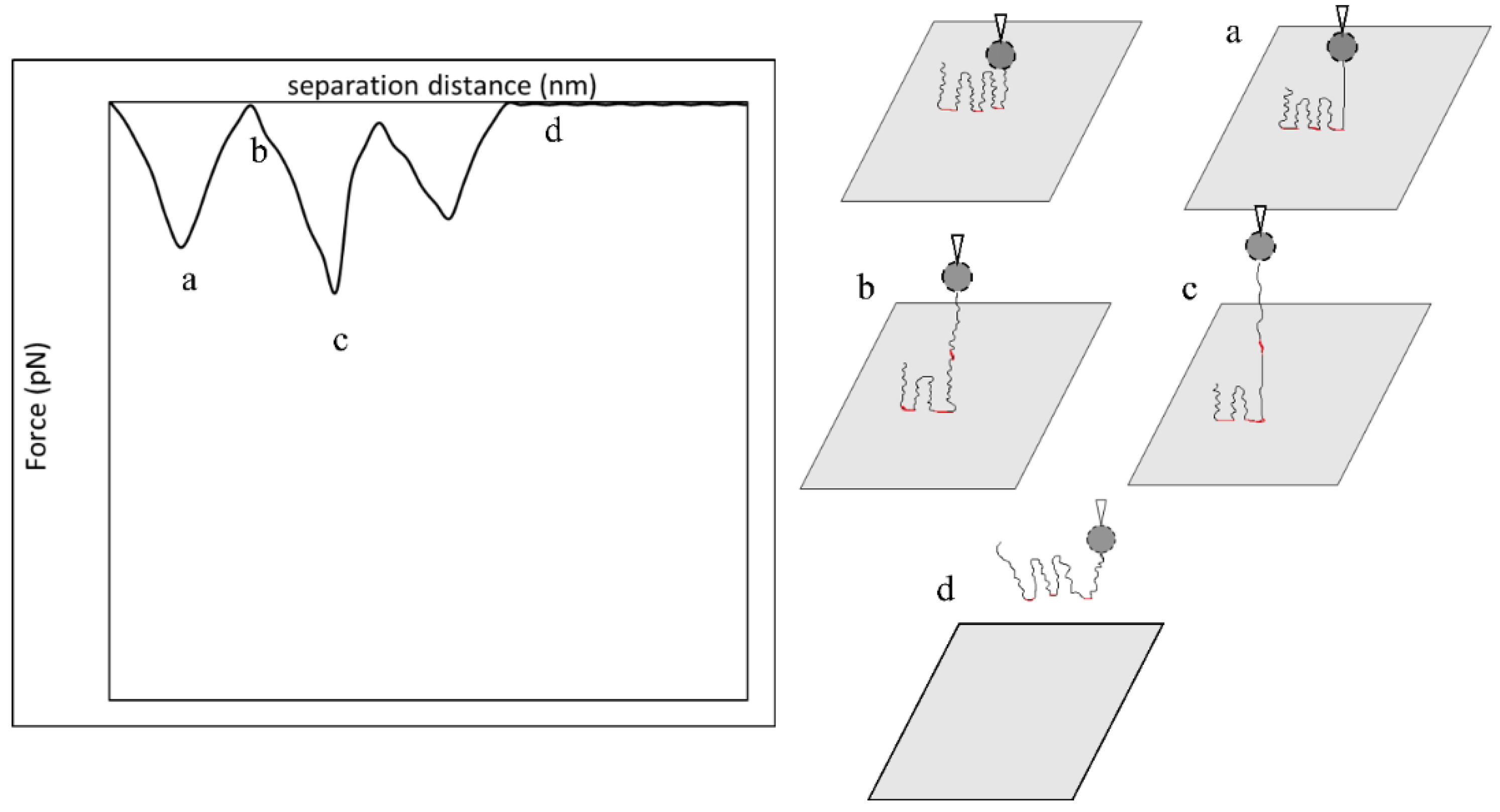 Polymers 15 04037 g012
