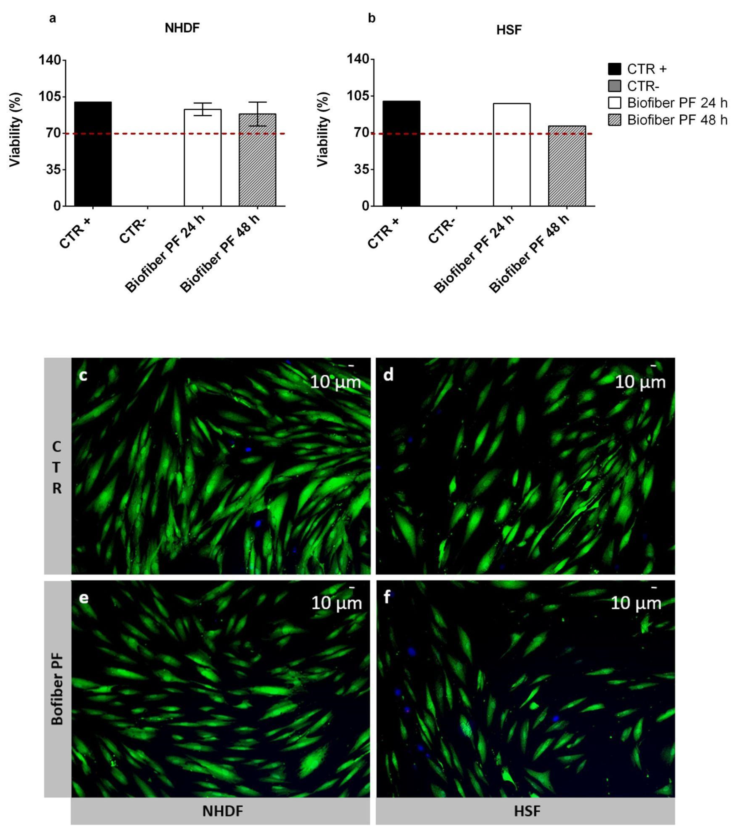 Polymers 15 04045 g008